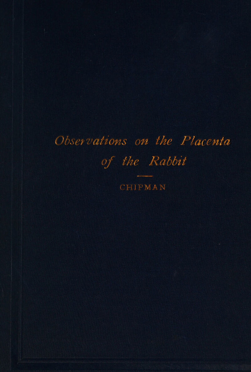 Observations on the Placenta of the Rabbit EROGOS NES RABE NR CHIPMAN