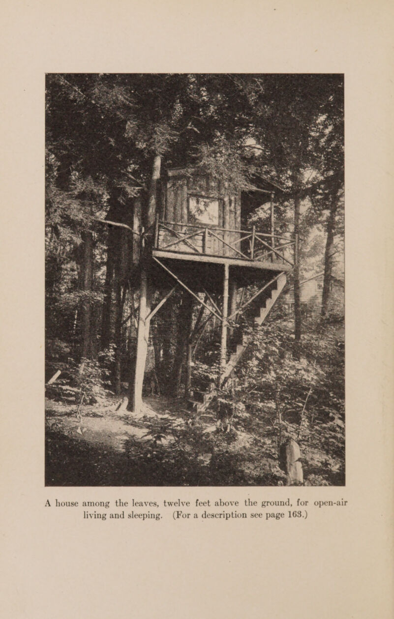 A house among the leaves, twelve feet above the ground, for open-air living and sleeping. (For a description see page 163.)