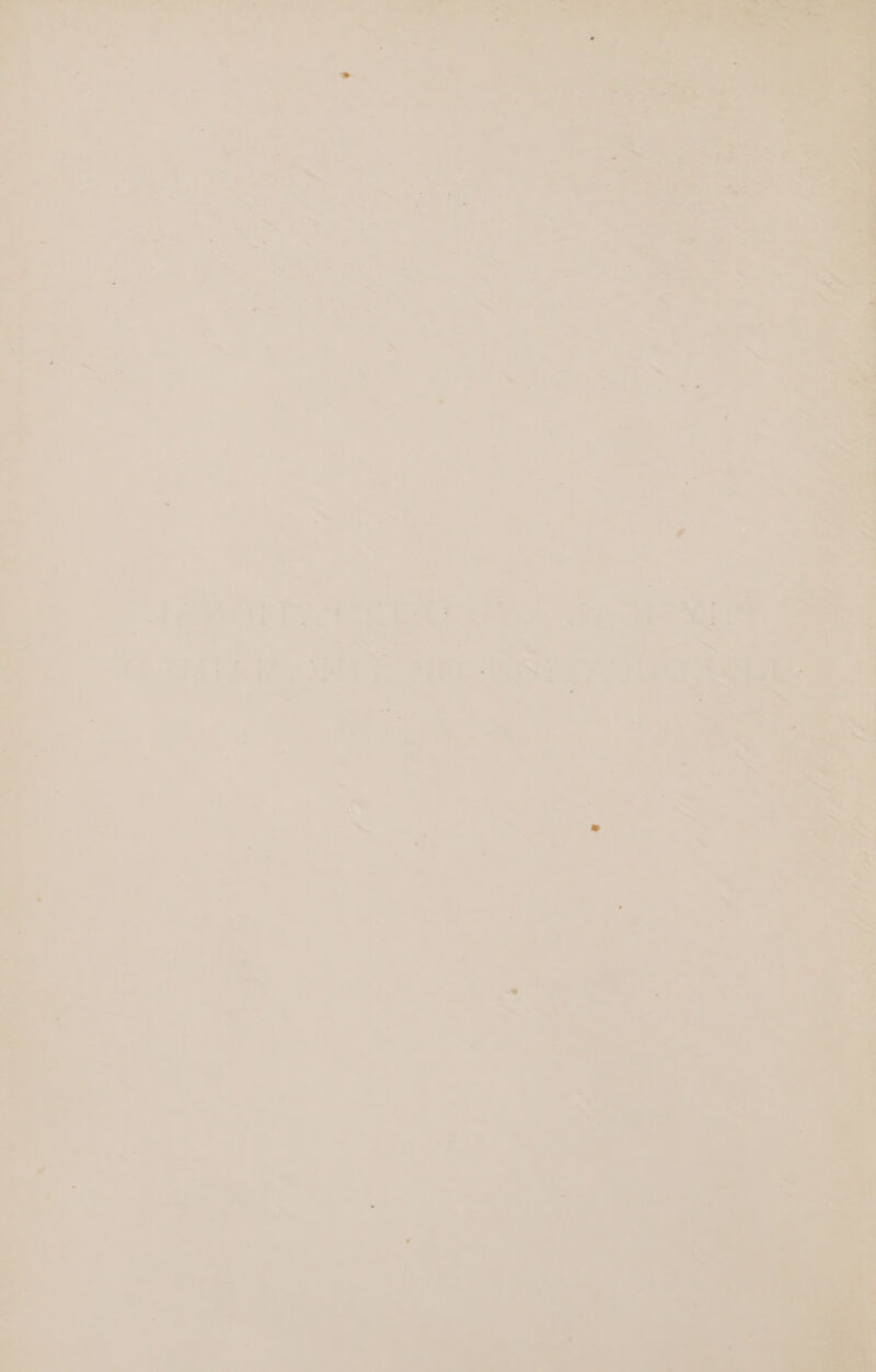 a Wihahelors yas 7 ee