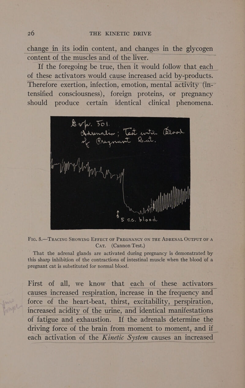 change in its iodin content, and changes in the glycogen “content of the muscles and of the liver. — “a, If the foregoing be true, then it would follow that each of these activators would cause increased acid by-products. Therefore exertion, infection, emotion, mental activity (in- tensified consciousness), foreign proteins, or pregnancy should produce certain identical clinical phenomena. ar S cw. blood Fic. 8.—TRAcING SHOWING EFFECT OF PREGNANCY ON THE ADRENAL OUTPUT OF A Cat. (Cannon Test.) That the adrenal glands are activated during pregnancy is demonstrated by this sharp inhibition of the contractions of intestinal muscle when the blood of a pregnant cat is substituted for normal blood. First of all, we know that each of these activators causes increased respiration, increase in the frequency and force of the heart-beat, thirst, excitability, perspiration, increased acidity of the urine, and identical manifestations of fatigue and exhaustion. If the adrenals determine the driving force of the brain from moment to moment, and if each activation of the Kinetic System causes an increased