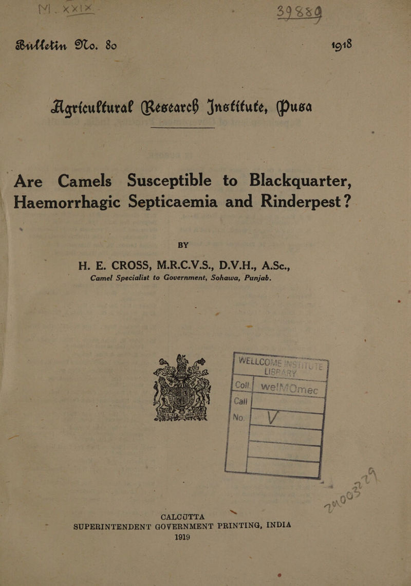 Billetin Do. 80 3 3 1918 Agricultural Research Institute, Pusa j Are Camels Susceptible to Blackquarter, . Haemorrhagic Septicaemia and Rinderpest? BY H. E. CROSS, M.R.C.V.S., D.V.H., A.Sc., Camel Specialist to Government, Sohawa, Panjab. ~