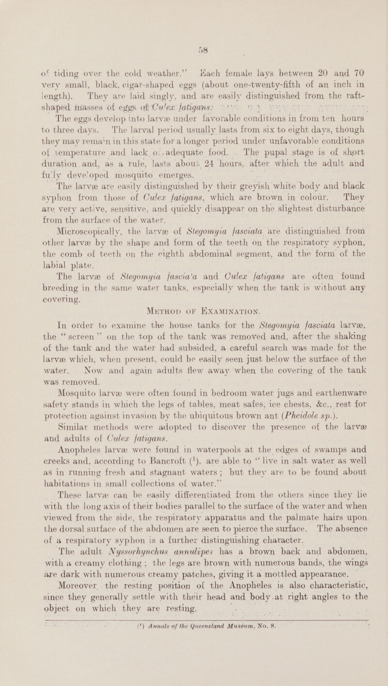 of tiding over the cold weather.’ Hach female lays between 20 and 70 very small, black, cigar-shaped eggs (about one-twenty-fifth of an inch in length), They are laid singly, and are easily sie Sau oa ce ee shaped masses of eggs of Culex Jatigans: : . payay © The eggs develop into larvee under favorable neces in a om ten hours to three days. The larval period usually lasts from six to eight days, though they may rema‘n in this state fora longer period under unfavorable conditions of vemperature and lack o.-adequate food. . The pupal stage 1s of short duration. and, as a rule, lasts about 24 jects after which the adult and fu ly developed mosquito emerges. _ The larvee are easily distinguished by their Boney white body and black syphon from those of Culex fatigans, which are brown in colour. They are very active, sensitive, and quickly disappear on the slightest disturbance from the surface of the water. . Microscopically, the larvae of Stegomyva jasciata. are distinguished coe other larve by the shape and form of the teeth on the respiratory syphon, the comb of teeth on the eighth abdominal segment, and the form of the labial plate. The larve of Stegomyia fasca'a and Culex fatigans are often found breeding in the same water tanks, especially when the tank is without any covering. ; MerHop oF EXAMINATION. In order to examine the house tanks for the Stegomyza fasciata larvee, the “screen” on the top of the tank was removed and, after the shaking of the tank and the water had subsided, a careful search was made for the larvee which, when present, could be easily seen just below the surface of the water. Now and again adults flew away when the covering of the tank was removed. Mosquito larve were often found 1 in bedroom water jugs and earthenware safety stands in which the legs of tables, meat sates, ice chests, &amp;c., rest for protection against invasion by the ubiquitous brown ant (Pherdole sp.). Similar methods were adopted to discover the presence of the larve and adults of Culex fatigans. Anopheles larvee were found in waterpools at the edges of swamps and creeks and, according to Bancroft ('), are able to “ live in salt water as well as in running fresh and stagnant waters; but they are to be found about habitations in small collections of water.” These larve can be easily differentiated from the others since they he with the | ong axis of their bodies parallel to the surface of the water and when viewed from the side, the respiratory apparatus and the palmate hairs upon. the dorsal surface of the abdomen are seen to pierce the surface. The absence of a respiratory syphon is a further distinguishing character. i | ‘The adult Nyssorhynchus annulipes has a brown back and abdomen, with a creamy clothing ; the legs are brown with numerous bands, the wings are dark with numerous creamy patches, giving it a mottled appearance. | _ Moreover, the resting position of the Anopheles is also characteristic, since they generally settle with their head and body at right angles to the object on which they are resting. ) Annals of the Queensland Museum, No. 8.