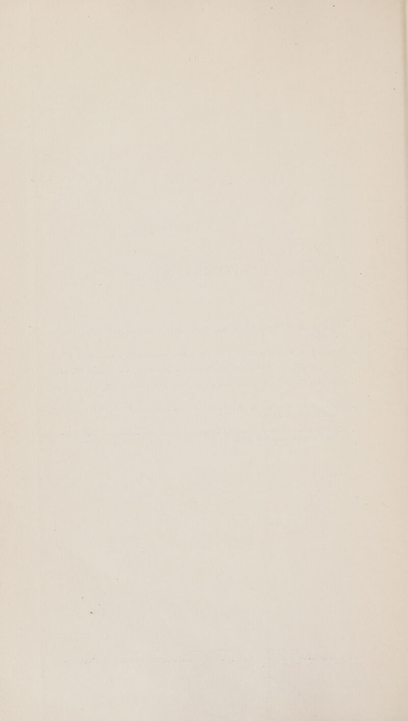 ” ( ean ; oe <\Dabehan Mee gy a eon ik oa ete ee } ; ; : i 7 yt » ees bay ly A, 7 v.) oe wise ee me . yy a ‘