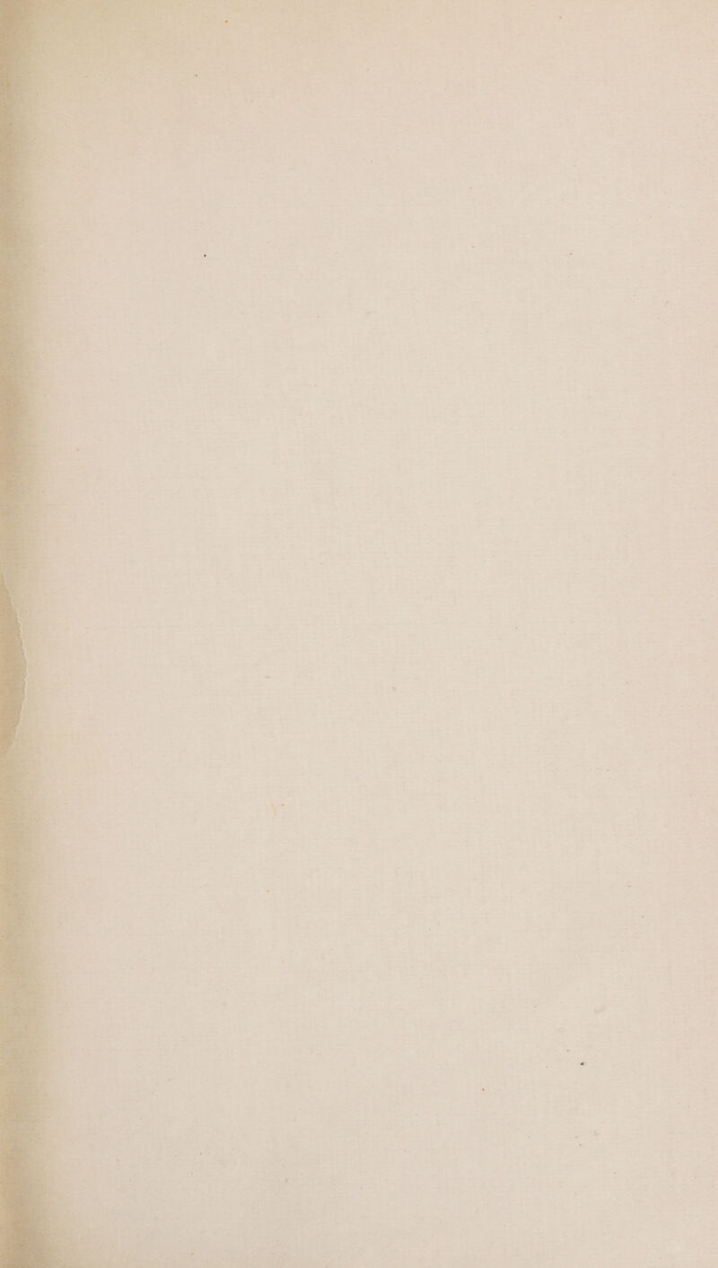 - . i _ . = a ’ 4 ; = ts ™ ‘ £ %e = ‘ iy , Py . 4 . z . s t + ‘ ‘ Py * * ¥ ' : % ' . > ¥ J * 4 4 4, ‘ ~ _ ‘4 - . 5, : . =f o% 7 ' % . . : 4 ‘ 3 ‘ , ’ . é * + + — x 1 7 n ‘ : . ( > > , ' ’ \ P r . - a - j ‘