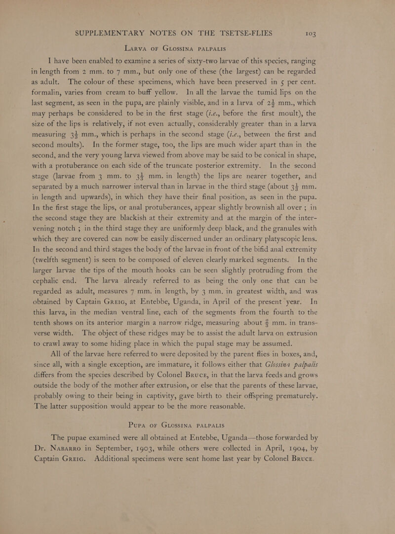 Larva oF GLOSSINA PALPALIS I have been enabled to examine a series of sixty-two larvae of this species, ranging in length from 2 mm. to 7 mm., but only one of these (the largest) can be regarded as adult. The colour of these specimens, which have been preserved in 5 per cent. formalin, varies from cream to buff yellow. In all the larvae the tumid lips on the last segment, as seen in the pupa, are plainly visible, and ina larva of 23 mm., which may perhaps be considered to be in the first stage (7.e., before the first moult), the size of the lips is relatively, if not even actually, considerably greater than in a larva measuring 3% mm., which is perhaps in the second stage (i.e., between the first and second moults). In the former stage, too, the lips are much wider apart than in the second, and the very young larva viewed from above may be said to be conical in shape, with a protuberance on each side of the truncate posterior extremity. In the second stage (larvae from 3 mm. to 34 mm. in length) the lips are nearer together, and separated by a much narrower interval than in larvae in the third stage (about 34 mm. in length and upwards), in which they have their final position, as seen in the pupa. In the first stage the lips, or anal protuberances, appear slightly brownish all over ; in the second stage they are blackish at their extremity and at the margin of the inter- vening notch ; in the third stage they are uniformly deep black, and the granules with which they are covered can now be easily discerned under an ordinary platyscopic lens. In the second and third stages the body of the larvae in front of the bifid anal extremity (twelfth segment) is seen to be composed of eleven clearly marked segments. In the larger larvae the tips of the mouth hooks can be seen slightly protruding from the cephalic end. The larva already referred to as being the only one that can be regarded as adult, measures 7 mm. in length, by 3 mm. in greatest width, and was obtained by Captain Grerc, at Entebbe, Uganda, in April of the present year. In this larva, in the median ventral line, each of the segments from the fourth to the tenth shows on its anterior margin a narrow ridge, measuring about mm. in trans- verse width. ‘The object of these ridges may be to assist the adult larva on extrusion to crawl away to some hiding place in which the pupal stage may be assumed. All of the larvae here referred to were deposited by the parent flies in boxes, and, since all, with a single exception, are immature, it follows either that Glossina palpalis differs from the species described by Colonel Brucz, in that the larva feeds and grows outside the body of the mother after extrusion, or else that the parents of these larvae, probably owing to their being in captivity, gave birth to their offspring prematurely. The latter supposition would appear to be the more reasonable. Pupa oF GLOSSINA PALPALIS The pupae examined were all obtained at Entebbe, Uganda—those forwarded by Dr. Nazarro in September, 1903, while others were collected in April, 1904, by Captain Gretc. Additional specimens were sent home last year by Colonel Bruce.