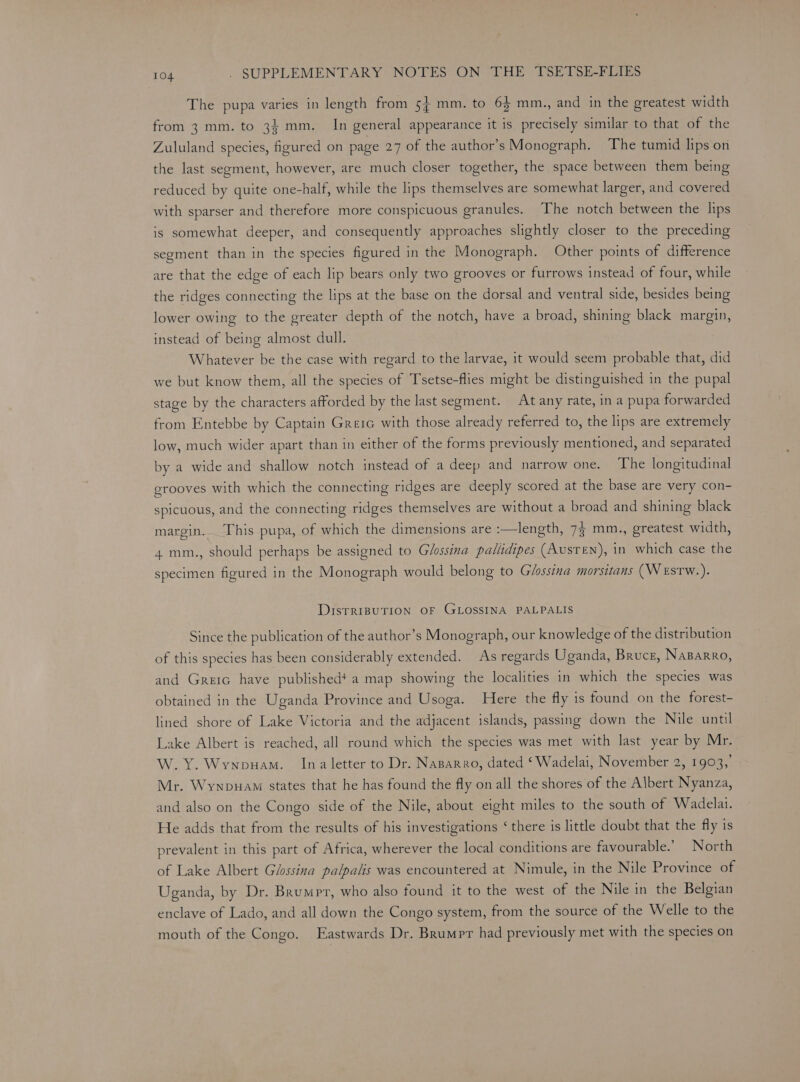 The pupa varies in length from 5} mm. to 63 mm., and in the greatest width from 3 mm. to 34 mm. In general appearance it is precisely similar to that of the Zululand species, figured on page 27 of the author’s Monograph. The tumid lips on the last segment, however, are much closer together, the space between them being reduced by quite one-half, while the lips themselves are somewhat larger, and covered with sparser and therefore more conspicuous granules. The notch between the lips is somewhat deeper, and consequently approaches slightly closer to the preceding segment than in the species figured in the Monograph. Other points of difference are that the edge of each lip bears only two grooves or furrows instead of four, while the ridges connecting the lips at the base on the dorsal and ventral side, besides being lower owing to the greater depth of the notch, have a broad, shining black margin, instead of being almost dull. Whatever be the case with regard to the larvae, it would seem probable that, did we but know them, all the species of Tsetse-flies might be distinguished in the pupal stage by the characters afforded by the last segment. At any rate, ina pupa forwarded from Entebbe by Captain Greic with those already referred to, the lips are extremely low, much wider apart than in either of the forms previously mentioned, and separated by a wide and shallow notch instead of a deep and narrow one. The longitudinal grooves with which the connecting ridges are deeply scored at the base are very con- spicuous, and the connecting ridges themselves are without a broad and shining black margin. This pupa, of which the dimensions are :—length, 7% mm., greatest width, 4 mm., should perhaps be assigned to Glossina pallidipes (Austen), in which case the specimen figured in the Monograph would belong to Glossina morsitans (WEstTW.). DISTRIBUTION OF GLOSSINA PALPALIS Since the publication of the author’s Monograph, our knowledge of the distribution of this species has been considerably extended. As regards Uganda, Bruce, Naparro, and Greic have published* a map showing the localities in which the species was obtained in the Uganda Province and Usoga. Here the fly is found on the forest- lined shore of Lake Victoria and the adjacent islands, passing down the Nile until Lake Albert is reached, all round which the species was met with last year by Mr. W.Y. Wynpuam. Inaletter to Dr. Nazarro, dated ‘Wadelai, November 2, 1903,’ Mr. Wynpuam states that he has found the fly on all the shores of the Albert Nyanza, and also on the Congo side of the Nile, about eight miles to the south of Wadelai. He adds that from the results of his investigations ‘there is little doubt that the fly is prevalent in this part of Africa, wherever the local conditions are favourable.’ North of Lake Albert Glssina palpalis was encountered at Nimule, in the Nile Province of Uganda, by Dr. Brumpr, who also found it to the west of the Nile in the Belgian enclave of Lado, and all down the Congo system, from the source of the Welle to the mouth of the Congo. Eastwards Dr. Brumpr had previously met with the species on