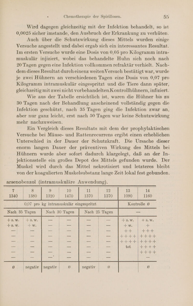 Wird dagegen gleichzeitig mit der Infektion behandelt, so ist 0,0025 sicher imstande, den Ausbruch der Erkrankung zu verhüten. Auch über die Schutzwirkung dieses Mittels wurden einige Versuche angestellt und dabei ergab sich ein interessantes Resultat. Im ersten Versuche wurde eine Dosis von 0,05 pro Kilogramm intra- muskulär injiziert, wobei das behandelte Huhn sich noch nach 20 Tagen gegen eine Infektion vollkommen refraktär verhielt. Nach- dem dieses Resultat durch einenz weitenVersuch bestätigt war, wurde je zwei Hühnern an verschiedenen Tagen eine Dosis von 0,07 pro Kilogramm intramuskulär eingespritzt und die Tiere dann später, gleichzeitig mit zwei nicht vorbehandelten.Kontrollhühnern, infiziert. Wie aus der Tabelle ersichtlich ist, waren die Hühner bis zu 30 Tagen nach der Behandlung anscheinend vollständig gegen die Infektion geschützt, nach 35 Tagen ging die Infektion zwar an, aber nur ganz leicht, erst nach 50 Tagen war keine Schutzwirkung mehr nachzuweisen. | Ein Vergleich dieses Resultats mit dem der prophylaktischen Versuche bei Mäuse- und Rattenrecurrens ergibt einen erheblichen Unterschied in der Dauer der Schutzkraft. Die Ursache dieser enorm langen Dauer der präventiven Wirkung des Mittels bei Hühnern wurde aber sofort dadurch klargelegt, daß an der In- jektionsstelle ein großes Depot des Mittels gefunden wurde. Der Muskel wird durch das Mittel nekrotisiert und letzteres bleibt von der koagulierten Muskelsubstanz lange Zeit lokal fest gebunden. ln nee) 1320 | 1470 13 14 1090 1160 Kontrolle &amp; — — +S.w. +S.W. +w. negativ | negativ