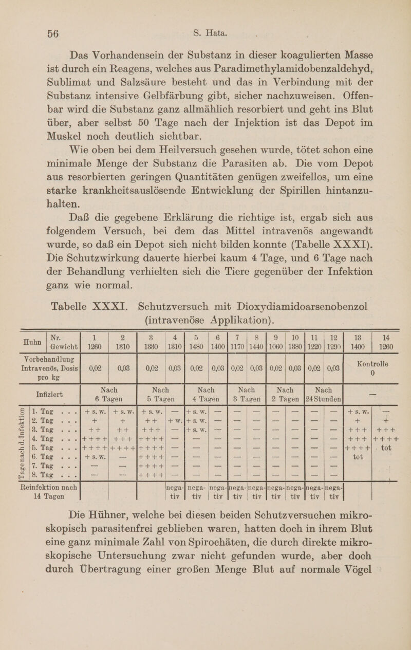 Das Vorhandensein der Substanz in dieser koagulierten Masse ist durch ein Reagens, welches aus Paradimethylamidobenzaldehyd, Sublimat und Salzsäure besteht und das in Verbindung mit der Substanz intensive Gelbfärbung gibt, sicher nachzuweisen. Offen- bar wird die Substanz ganz allmählich resorbiert und geht ins Blut über, aber selbst 50 Tage nach der Injektion ist das Depot im Muskel noch deutlich sichtbar. Wie oben bei dem Heilversuch gesehen wurde, tötet schon eine minimale Menge der Substanz die Parasiten ab. Die vom Depot aus resorbierten geringen Quantitäten genügen zweifellos, um eine starke krankheitsauslösende Entwicklung der Spirillen hintanzu- halten. Daß die gegebene Erklärung die richtige ist, ergab sich aus folgendem Versuch, bei dem das Mittel intravenös angewandt wurde, so daß ein Depot sich nicht bilden konnte (Tabelle XXXT). Die Schutzwirkung dauerte hierbei kaum 4 Tage, und 6 Tage nach der Behandlung verhielten sich die Tiere gegenüber der Infektion ganz wie normal. Tabelle XXXI. Schutzversuch mit Dioxydiamidoarsenobenzol (intravenöse Applikation). Huhn Nr. il: 2 3 4 5 6 ans 9 19, 1 &gt; 13 14 Gewicht| 1260 1310 1330 [1310| 1480 | 1400 | 1170 | 1440 | 1060 | 1380 | 1220 | 129% | 1400 1260 Vorbehandlung Konfreils Intravenös, Dosis] 0,02 0,03 0,03 1 0,02 | 0,03 | 0,02 | 0,08 | 0,02 | 0,03 0 pro kg | fer Nach Nach Nach Nach Nach Nach Di 22 6 Tagen 5 Tagen 4 Tagen 3 Tagen | 2 Tagen |24Stunden 211. Tag +8s.w.| +s.w|+sw| — I+sw —|I- | -|I|- | —-|1-| - ]|+sw| — 5 |2. Tag +  ++ |+w.»#sw| —|—- | -1|1-|-|I-|-—- + + = |3. Tag ++ ++ | +++| —- sr - | —- | -1I- | —-1I- | — 1] +++ | +++ &lt; 4. Tag ++++| +++ I++++ — — —-I-ı --|Iı- | —- | - | —- | +++ |++++ = 5. Tag ++++++++4H+++ — — —-I- | --I- | -|1-| - I++++: tot = |6. Tag +s.w. — I|I++++ — _ -I-ı|ı -|I-|-|-|ı — tot 211. Tag — — I++++ — — -i1I-|-I-| -I—- | — 218. Tag — — H++++-| - | -|-| -|I - | -| - | — Reinfektion nach nega-]| nega- nega-Inega-nega-Inega-nega-Inega-nega- | 14 Tagen tiv | tiv | tiv | tiv | tiv | tiv | tiv | tiv | tiv skopisch parasitenfrei geblieben waren, hatten doch in ihrem Blut eine ganz minimale Zahl von Spirochäten, die durch direkte mikro- skopische Untersuchung zwar nicht gefunden wurde, aber doch durch Übertragung einer großen Menge Blut auf normale Vögel