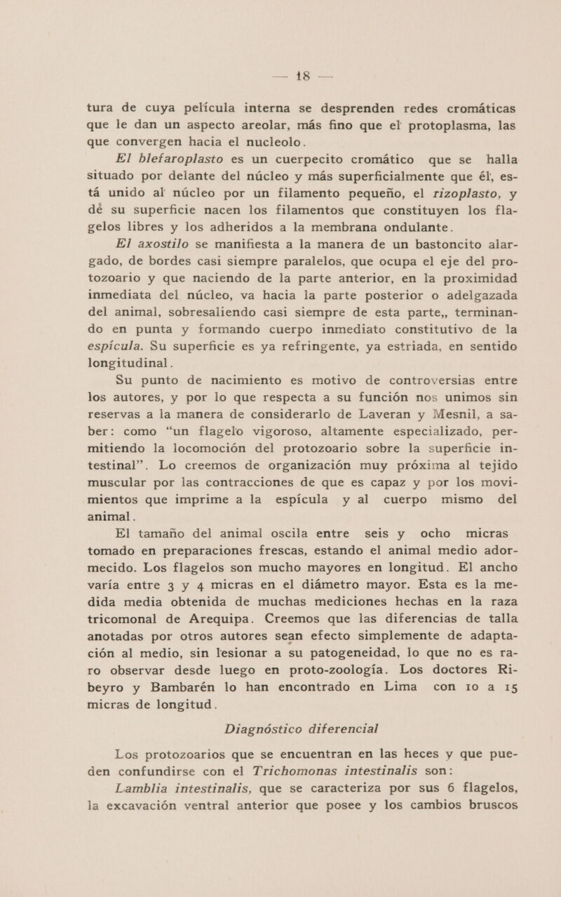 ld RA ds tura de cuya película interna se desprenden redes cromáticas que le dan un aspecto areolar, más fino que el protoplasma, las que convergen hacia el nucleolo. El blefaroplasto es un cuerpecito cromático que se halla situado por delante del núcleo y más superficialmente que él, es- tá unido al núcleo por un filamento pequeño, el rizoplasto, y de su superficie nacen los filamentos que constituyen los fla- gelos libres y los adheridos a la membrana ondulante. El axostilo se manifiesta a la manera de un bastoncito alar- gado, de bordes casi siempre paralelos, que ocupa el eje del pro- tozoario y que naciendo de la parte anterior, en la proximidad inmediata del núcleo, va hacia la parte posterior o adelgazada del animal, sobresaliendo casi siempre de esta parte,, terminan- do en punta y formando cuerpo inmediato constitutivo de la espícula. Su superficie es ya refringente, ya estriada, en sentido longitudinal. Su punto de nacimiento es motivo de controversias entre los autores, y por lo que respecta a su función nos unimos sin reservas a la manera de considerarlo de Laveran y Mesnil, a sa- ber: como “un flagelo vigoroso, altamente especializado, per- mitiendo la locomoción del protozoario sobre la superficie in- testinal”. Lo creemos de organización muy próxima al tejido muscular por las contracciones de que es capaz y por los movi- mientos que imprime a la espícula y al cuerpo mismo del animal. El tamaño del animal oscila entre seis y ocho micras tomado en preparaciones frescas, estando el animal medio ador- mecido. Los flagelos son mucho mayores en longitud. El ancho varía entre 3 y 4 micras en el diámetro mayor. Esta es la me- dida media obtenida de muchas mediciones hechas en la raza tricomonal de Arequipa. Creemos que las diferencias de talla anotadas por otros autores sean efecto simplemente de adapta- ción al medio, sin lesionar a su patogeneidad, lo que no es ra- ro observar desde luego en proto-zoología. Los doctores Ri- beyro y Bambarén lo han encontrado en Lima con 10 a 15 micras de longitud. Diagnóstico diferencial Los protozoarios que se encuentran en las heces y que pue- den confundirse con el Trichomonas intestinalis son: Lamblia intestinalis, que se caracteriza por sus 6 flagelos, la excavación ventral anterior que posee y los cambios bruscos