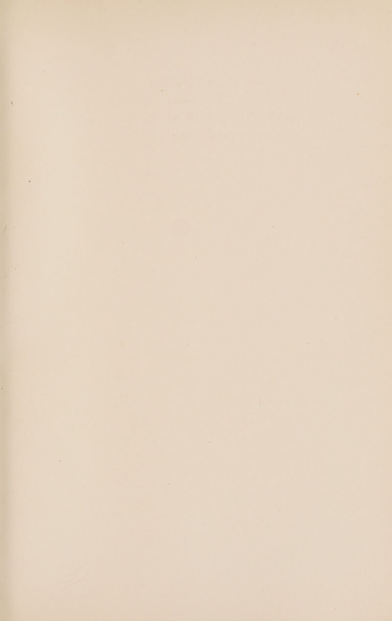 ae 1 1 ’ ‘ ‘ ' ‘ ne A ‘ am P 4 ae } *