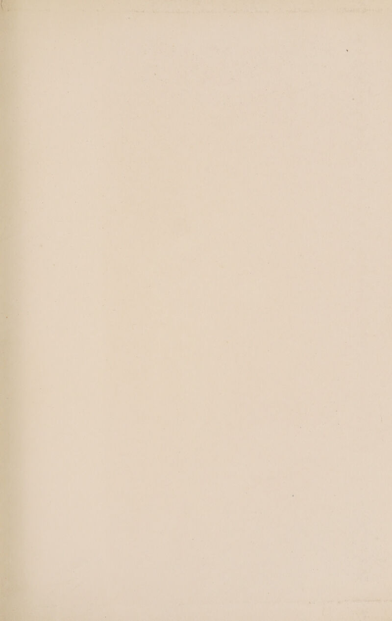 - A .) a = ROR Go ele A Uieotga td, ere ’ ¥ A : 5 ee ‘ oa? ee 7 ead Ce 7 P P ¥ cs. &amp; ry 7 Be PRM te Mave ide Reeatied SA HOR EL nes ae a einge T os * : ; ‘ ’ &amp; . : : = z F + iY = é an ‘ oy ‘J : 2. * ; ' + er te 4 . 7 3 ‘ ‘ ‘ - ’ : aa y 3 muds: : oF , . ¥ 2! . 7 ad i. - ; ‘ 2m. * . 48 : x } 5 ‘ » * ” + ; < 3 . 7 va ‘ % = ‘ ots , ‘ ’ - . . ? rs A ' 7 i . zs , S r iy a . . t F « . i ‘ ¢ . ‘ : ; ; ‘ a Hl * , ; | ‘ a . a ose ae “ 1 rn y : . 5 i = sal f , f 4 4 ' “ ~ 5 ‘ 5 fi ty : ho lane py : , ie =, iu ate porte! Uae ae a