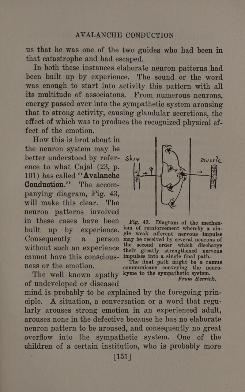 AVALANCHE CONDUCTION us that he was one of the two guides who had been in that catastrophe and had escaped. In both these instances elaborate neuron patterns had been built up by experience. The sound or the word was enough to start into activity this pattern with all its multitude of associatons. From numerous neurons, energy passed over into the sympathetic system arousing that to strong activity, causing glandular secretions, the effect of which was to produce the recognized physical ef- fect of the emotion. How this is brot about in the neuron system may be better understood by refer- ence to what Cajal (23, p. 101) has called ‘‘ Avalanche Conduction.’’ The accom- panying diagram, Fig. 43, will make this clear. The neuron patterns involved in these cases have been Fig. 43. Diagram of the mechan- built: up. by: .exparienee, iam of stnforcament, whereby. &amp; sin Consequently a person may be received by several neurons of without such an experience {t%,,*0end, order which, dlichargs cannot have this conscious- impulses into a single final path. . The final path might be a ramus ness or the emotion. communicans conveying the neuro- The well known apathy kyme to the nia beet system. : rom Herrick. of undeveloped or diseased mind is probably to be explained by the foregoing prin- ciple. A situation, a conversation or a word that regu- larly arouses strong emotion in an experienced adult, arouses none in the defective because he has no elaborate neuron pattern to be aroused, and consequently no great overflow into the sympathetic system. One of the children of a certain institution, who is probably more [151]