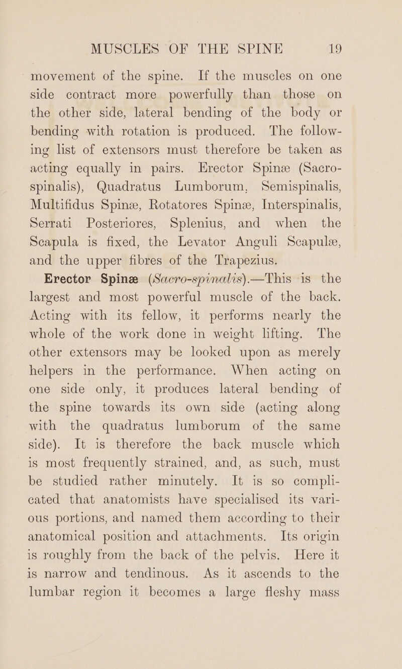 movement of the spine. If the muscles on one side contract more powerfully than those on the other side, lateral bending of the body or bending with rotation is produced. The follow- ing list of extensors must therefore be taken as acting equally in pairs. Hrector Spine (Sacro- spinalis), Quadratus Lumborum, Semispinalis, Multifidus Spine, Rotatores Spine, Interspinalis, Serrati Posteriores, Splenius, and when the Scapula is fixed, the Levator Anguli Scapule, and the upper fibres of the Trapezius. Erector Spine (Sacro-spinalis).—This is the largest and most powerful muscle of the back. Acting with its fellow, it performs nearly the whole of the work done in weight lifting. The other extensors may be looked upon as merely helpers in the performance. When acting on one side only, it produces lateral bending of the spine towards its own side (acting along with the quadratus lumborum of the same side). It is therefore the back muscle which is most frequently strained, and, as such, must be studied rather minutely. It is so comph- cated that anatomists have specialised its vari- ous portions, and named them according to their anatomical position and attachments. Its origin is roughly from the back of the pelvis. Here it is narrow and tendinous. As it ascends to the lumbar region it becomes a large fleshy mass