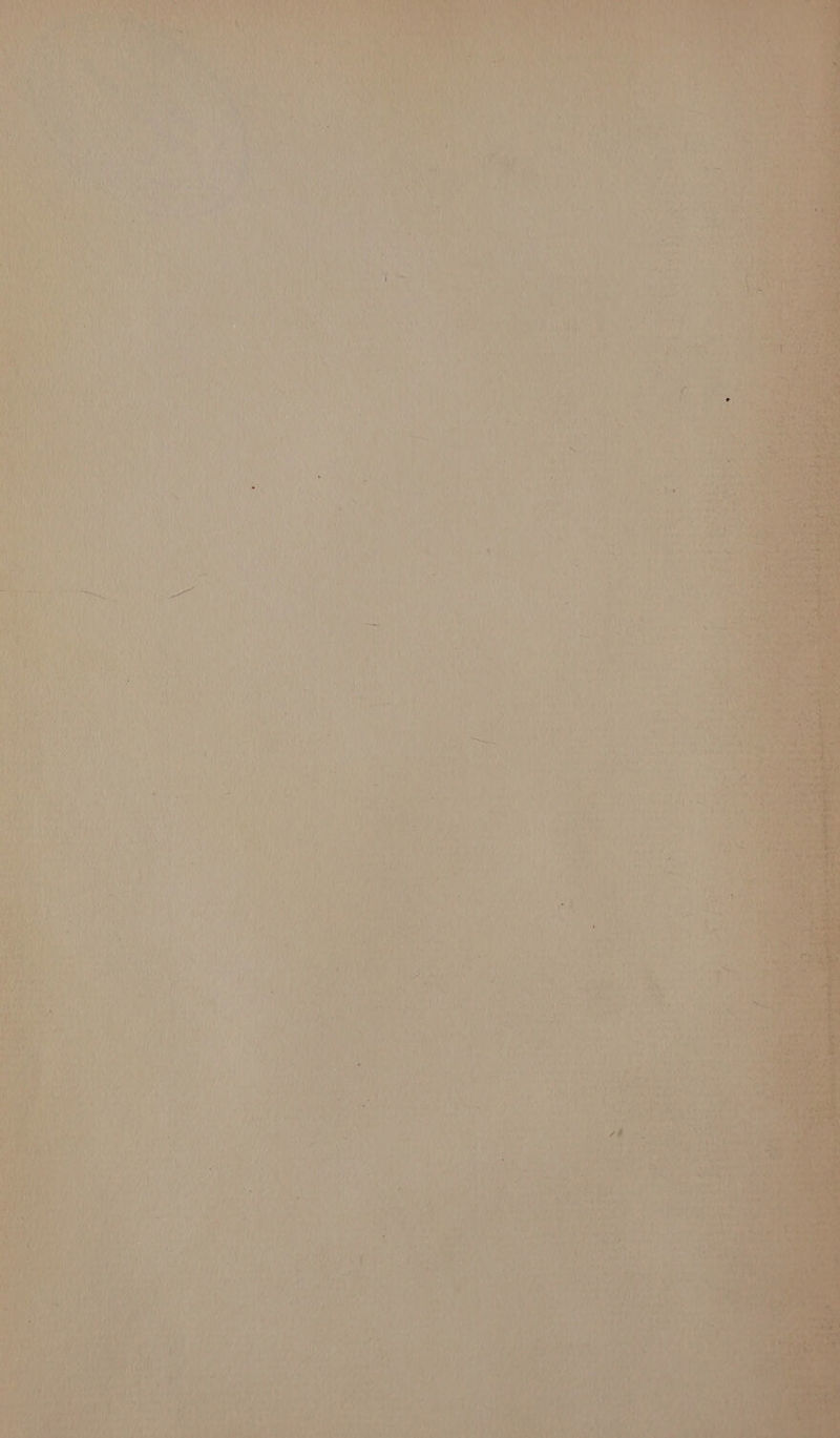 pASSlea th dite reid