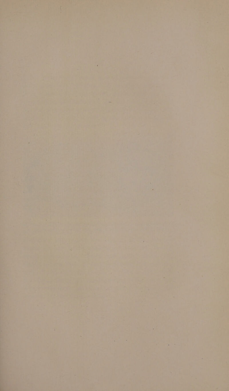 pa ae « # a 7%) we *