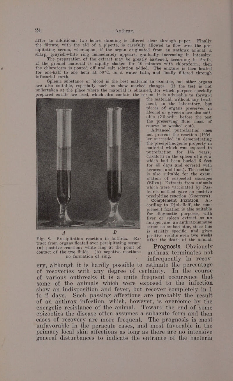after an additional two hours standing is filtered clear through paper. Finally the filtrate, with the aid of a pipette, is carefully allowed to flow over the pre- cipitating serum, whereupon, if the organ originated from an anthrax animal, a sharp, grayish-white ring immediately appears, gradually increasing in intensity. The preparation of the extract may be greatly hastened, according to Profe, if the ground material is rapidly shaken for 10 minutes with chloroform; then the chloroform is poured off and salt solution added. The mixture is then heated for one-half to one hour at 50°C. in a water bath, and finally filtered through infusorial earth. ; Splenic substance or blood is the best material to examine, but other organs are also suitable, especially such as show marked changes. If the test is not undertaken at the place where the material is obtained, for which purpose specially prepared outfits are used, which also contain the serum, it is advisable to forward <a ee saa) the material, without any treat- oo ment, to the laboratory, but pieces of organs preserved in alcohol or glycerin are also suit- able (Zibordi; before the test the preserving fluid must of course be washed out). Advanced putrefaction does not prevent the reaction (Pfei- ler succeeded in demonstrating the precipitinogenic property in material which was exposed to putrefaction for 1% _ years; Casalotti in the spleen of a cow which had been buried 6 feet for 45 days and covered with kerosene and lime). The method is also suitable for the exam- ination of suspected sausages (Silva). Extracts from animals which were vaccinated by Pas- teur’s method gave no positive precipitine reaction (Guerrero). Complement Fixation. Ac- cording to Djubelieff, the com- plement fixation is also suitable for diagnostic purposes, with liver or spleen extract as an antigen, and an anthrax-immune serum as amboceptor, since this A B is strictly specific, and gives ‘ 2 vase : : positive results even two weeks Fig. 8. Precipitation reaction in anthrax. Ex- 4fter the death of the animal. tract from organs floated over percipitating serum. 5 4 (a) positive reaction: white ring at the point of Prognosis. Obviously eontact of the two fluids. (b) negative reaction: gnthrax terminates not no formation of ring. : infrequently in recov- ery, although it is hardly possible to estimate the percentage of recoveries with any degree of certainty. In the course of various outbreaks it is a quite frequent occurrence that some of the animals which were exposed to the infection show an indisposition and fever, but recover completely in 1 to 2 days. Such passing affections are probably the result of an anthrax infection, which, however, is overcome by the energetic resistance of the animal. ‘Toward the end of some epizootics the disease often assumes a subacute form and then cases of recovery are more frequent. The prognosis is most unfavorable in the peracute cases, and most favorable in the primary local skin affections as long as there are no intensive general disturbances to indicate the entrance of the bacteria