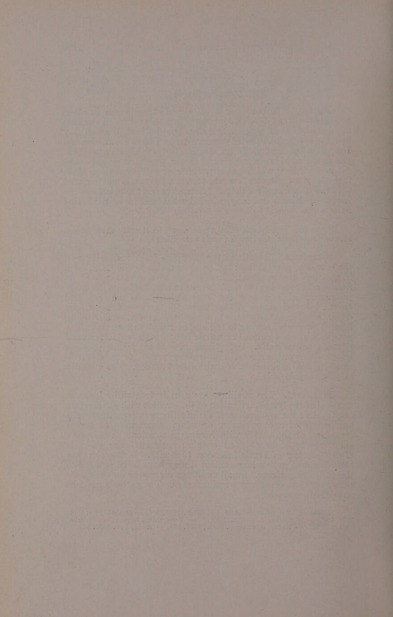 ‘ eae tated ‘4 preprey . eek arn ai 9 Ae \ : - ee / a” te k he | ‘ ” 4 = 4 a ; ne i. ’ * . 