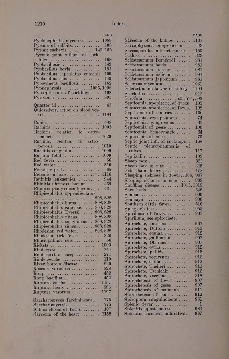 PAGE Pyelonephritis mycotica ...... 1089 Pyvemia ot,rabbite: «oo. eee 108 Pyemic cachexia ........... 149, 152 Pyemie joint inflam. of suck- NOS oo, oe Matec heceee ce tone 168 Pyobacillosis: 4.6 swt setoaesace 149 Pyobacillus bovis ........... 153 Pyobaeillus capsulatus euniculi 109 Pyobacillus;swisnic.s «cies. ania 149 Pyoecyaneus bacillosis......... 162 Pyonephrosis 2.4 chen 1085, 1096 Pyosepticemia of sucklings.... 168 P¥rosomia (rec. Sindee bw tocss 805 Ouarter ils: tees eee 43 Quicksilver, action on blood ves- SEIS erence acta ere Cee 1184 Rabiester siete: seer teen 488 Rachitis wee ace ete ee ee 1003 Rachitis, relation to osteo- mplacia. ter eris: ~ oo oro ee 1029 Rachitis, relation to osteo- WOLOSIS. ee Us Saree 1010 Rachitis congenita............ 1009 Rachitis:t etalis ime. e siseee 1009 Wed HEEVEI esti nee ae Le ine ae 66 Red: water ifiaat shot chee * 810 Reindeer: pest stein a lees - 65 Ketentio arise. a0 5 eee S 1116 Retinitis leukaemica ......... 944 Rhinitis fibrinosa bovum...... 439 Rhinitis gangrenosa bovum.... 431 Rhipicephalus appendiculatus Be sokun ae EMR eee tel ae 808, 828 Rhipicephalus bursa ....... 808, 828 Rhipicephalus capensis ....808, 828 Rhipicephalus Evertsi ..... 808, 828 Rhipicephalus nitens ....... 808, 828 Rhipicephalus sanguineus_ . .808, 828 Rhipicephalus simus ....... 808, 828 Rhodesian red water........ 808, 828 Rhodesian tick fever ......... 826 Rhusiopathiae suis.........-. 66 Biekete tok...-:iias x th. pa ees 1003 Rinderpest. .ts@iwonta ce cea’ 249 Rinderpest in sheep ........-. 271 Rinderseuche -.:..:0.05 oho ee 110 River bottom disease ......... 920 Roeseolas variolosa....-.40e.- oes 328 ERABIN (7h, ar oreo dcrom telco eee 452 Rowp. Dacillus.t,. «ey see ates 452 Rupturavcordis, weap ee 1157 Ruptura ienis@eethe. oe oes. ce 986 Ruptura vasorumict os. 006. 1197 Saccharomyces farciminosus... 775 Saccharomycosis ............. 775 Salmonellosis of fowls........ 107 Sarcoma of the heart ........ 1158 Sarcoma of the kidney ...... 1107 Sarcophysema gangrenosum... 48 Sarcosporidia in heart muscle.. 1159 DSenDrOt sea werent ere eee 323 Schistosomum Bomfordi ..... 981 Schistosomum bovis ......... 981 Schistosomum crassum ....... 981 Schistosomum indicum ....... 981 Schistosomum japonicum ..... 981 Sclerosis maculata............ 1081 Selerostomum larvae in kidney. 1109 SCOMDULUS:. ss acetone roe ese 1047 Serdinla was ashe 525, 574, 593 Septicemia, apoplectic, of ducks 105 Septicemia, apoplectic, of fowls. 108 Septicemia of canaries........ 106 Septicemia, erysipelatous ..... 74 Septicemia, gangrenous....... 35 Septicemia of geese.......... 106 Septicemia, hemorrhagic ...... 84 Septicemia of mice........... 70 Septic joint infl. of sucklings.. 168 Septic pleuropneumonia of calves, 2.2.5. )0e Aone cose 117 meptizidin iy 2...26.0 6 oe 103 HEED POS) <5 c1: be ak eee 323 Sheep pox .in-man........0.. 345 side chain theory®..%..2.4/2sie — 472 Sleeping sickness in fowls. .108, 907 Sleeping sickness in man ..... 903 Snuffling disease ......... 1013, 1019 Sore heels. °.'; oui... eee 346 SOU, fa ses. cial ae 900 DOUMAYVA “ace kese «ea eee 900 Southern cattle fever......... 810 Spiegler’s’ tests. 2 . 30. See 1052 Spirillosis of fowls........... 907 Spirillum, see spirochete. Spirochete, anserina ......... 907 Spirochete, Duttoni .......... 913 Spirochete, equina ........... 912 Spirochete, gallinarum ....... 907 Spirochete, Obermeieri ....... 907 Spirochete, ovina ............ 912 Spirochete, pallida .......... 913 Spirochete, recurentis ........ 912 ppirochete,.siilla>® (2-01 4 wae 912 Spirochete, Theileri .......... 911 Spirochete, Tschichir ........ 912 Spirochete, vaccinae ......... 318 Spirochetosis of fowls ....... 907 Spirochetosis of geese ....... 907 Spirochetosis of mammals .... 911 Spirochetosis of man ........ 912 .- Spiroptera sanguinolenta..... 981 Splenic fever... ... 2... ; weer 1 Splenitis apostematosa ....... 984 Splenitis chronica indurativa.. 987