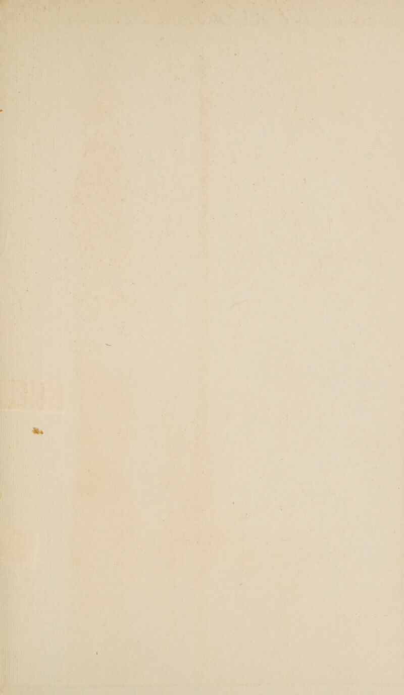 ae i, 