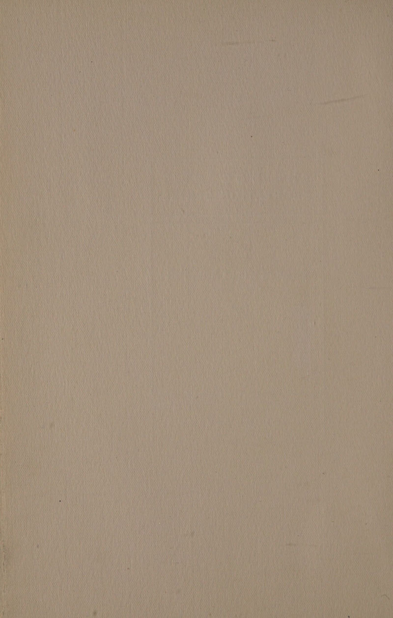 = : ~ - = 2 Fs = = : = = 2 2 SS e —— a ee SOT SSS ——— = ————