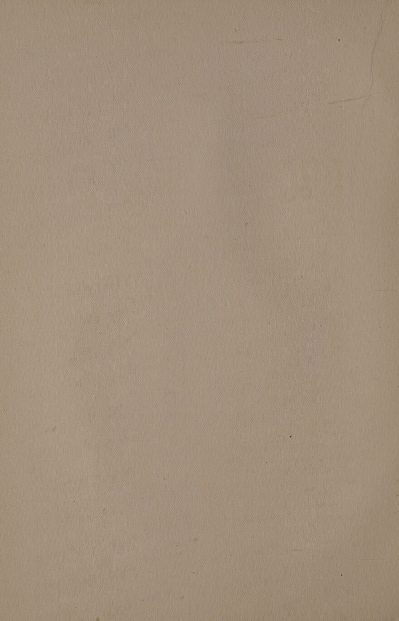 Hil y AO eI Wet Hit SRW DN RRE Aa oe At ai i ; i py NN H sti I uy ny NNN ‘\) ‘ oH RI WrtiNy \ ie Ly Miia tah bn  aN Kit y Ae NAR iN oh AINA IY a et NAW iN WAIN : o as : a he nh VN a) ya th uh Ney ou anit ANAM! i } Nil ( ne i I dy RRR i ith we ty : \ Nt AN = = —s ae = Se —= SS == == Se = : Ss = a SSS = a a aoe a oe c oe ee =&lt; = NN) i} i \ } ili Wi Sha Nes iON) HHA SR oo Ua i Ay i's raat hy \ ) Aa NU ATA ey aa a { oh / is i ity i} Mia anh mt MN — nt NN) : { i ( . ii ys Hy iN th “ a My anit i Ait ——— ae SS Se se == SS —— ee —- SS ——— = ae Se — a = My He Vis ce uty thy file Mf i a ———— = ———— Fp = ss —— = i oe y iV i ) Hy nh a Hi 4 yy vie ine \ it ( nes fy t Ah i i i i ny Hu) 1) i He i HAN ‘ 1] ii at NA ) NAN a on i isi NWSI as PS = = =s = — Bs. =e == = = SSS — ee == = =, = i —_ ——2 SS $, ——= = = se : a SS ee ei Se Ss ———S ae = 2 HS = eo —= Nay a i i} a = ——s i | Wy) a, oy i one Aah  ty , ; it iy PA Hi MAMI ly ‘i Hat ca a a o HH Wie i Ht ui f neh Niet } qt i at NUH i i ee Ci Wik a H Mi i pale : ii Wit AOA HANAN Rah i) i a i) Daye ya i . i) 0 Ant Hi ie ane ae We a iy hy i hu : a i iH i Hi i By uh i Had Hi na hth aN Hai i Hin a) / Head ) ae Wh) iM i i i WR) int iv NN y 1 i t ‘ Ve | 7 ( |