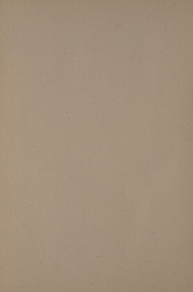 aA \ oy iy ¥ oe Ler bees hy , ‘ r ie i aye eh ‘ maa sae ee Ras ga) co ire <a Pats eo eatin