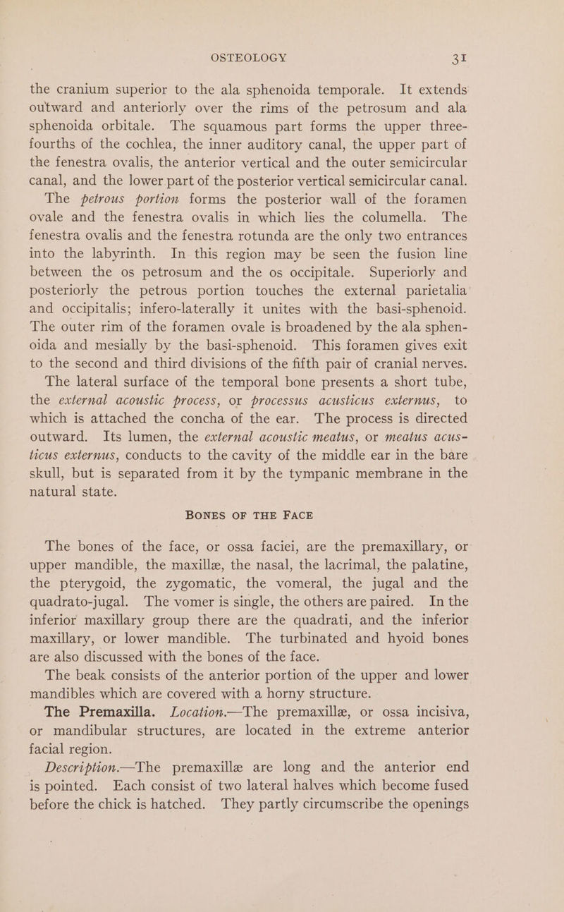 the cranium superior to the ala sphenoida temporale. It extends outward and anteriorly over the rims of the petrosum and ala sphenoida orbitale. The squamous part forms the upper three- fourths of the cochlea, the inner auditory canal, the upper part of the fenestra ovalis, the anterior vertical and the outer semicircular canal, and the lower part of the posterior vertical semicircular canal. The petrous portion forms the posterior wall of the foramen ovale and the fenestra ovalis in which lies the columella. The fenestra ovalis and the fenestra rotunda are the only two entrances into the labyrinth. In this region may be seen the fusion line between the os petrosum and the os occipitale. Superiorly and posteriorly the petrous portion touches the external parietalia and occipitalis; infero-laterally it unites with the basi-sphenoid. The outer rim of the foramen ovale is broadened by the ala sphen- oida and mesially by the basi-sphenoid. This foramen gives exit to the second and third divisions of the fifth pair of cranial nerves. The lateral surface of the temporal bone presents a short tube, the external acoustic process, or processus acusticus externus, to which is attached the concha of the ear. The process is directed outward. Its lumen, the external acoustic meatus, or meatus acus- ticus externus, conducts to the cavity of the middle ear in the bare skull, but is separated from it by the tympanic membrane in the natural state. BONES OF THE FACE The bones of the face, or ossa faciei, are the premaxillary, or upper mandible, the maxille, the nasal, the lacrimal, the palatine, the pterygoid, the zygomatic, the vomeral, the jugal and the quadrato-jugal. The vomer is single, the others are paired. In the inferior maxillary group there are the quadrati, and the inferior maxillary, or lower mandible. The turbinated and hyoid bones are also discussed with the bones of the face. The beak consists of the anterior portion of the upper and lower mandibles which are covered with a horny structure. The Premaxilla. Location—The premaxille, or ossa incisiva, or mandibular structures, are located in the extreme anterior facial region. Description.—The premaxille are long and the anterior end is pointed. Each consist of two lateral halves which become fused before the chick is hatched. ‘They partly circumscribe the openings