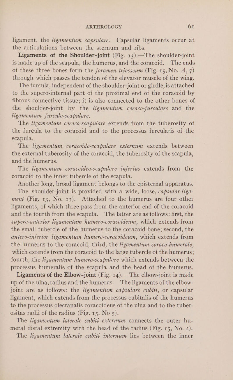 ligament, the ligamentum capsulare. Capsular ligaments occur at the articulations between the sternum and ribs. Ligaments of the Shoulder-joint (Fig. 13).—The shoulder-joint is made up of the scapula, the humerus, and the coracoid. The ends of these three bones form the foramen triosseum (Fig. 15, No. A, 7) through which passes the tendon of the elevator muscle of the wing. The furcula, independent of the shoulder-joint or girdle, is attached to the supero-internal part of the proximal end of the coracoid by fibrous connective tissue; it is also connected to the other bones of the shoulder-joint by the ligamentum coraco-furculare and the ligamentum furculo-scapulare. The ligamentum coraco-scapulare extends from the tuberosity of the furcula to the coracoid and to the processus furcularis of the scapula. | The ligamentum coracoido-scapulare externum extends between the external tuberosity of the coracoid, the tuberosity of the scapula, and the humerus. | | The ligamentum coracoideo-scapulare inferius extends from the coracoid to the inner tubercle of the scapula. Another long, broad ligament belongs to the episternal apparatus. The shoulder-joint is provided with a wide, loose, capsular liga- ment (Fig. 13, No. 13). Attached to the humerus are four other ligaments, of which three pass from the anterior end of the coracoid and the fourth from the scapula. The latter are as follows: first, the supero-antertor ligamentum humero-coracoideum, which extends from the small tubercle of the humerus to the coracoid bone; second, the antero-inferior ligamentum humero-coracoideum, which extends from the humerus to the coracoid, third, the ligamentum coraco-humerale, which extends from the coracoid to the large tubercle of the humerus; fourth, the ligamentum humero-scapulare which extends between the processus humeralis of the scapula and the head of the humerus. Ligaments of the Elbow-joint (Fig. 14).—The elbow-joint is made up of the ulna, radius and the humerus. The ligaments of the elbow- joint are as follows: the ligamentum capsulare cubiti, or capsular ligament, which extends from the processus cubitalis of the humerus to the processus olecranalis coracoideus of the ulna and to the tuber- ositas radii of the radius (Fig. 15, No 5). The ligamentum laterale cubiti externum connects the outer hu- meral distal extremity with the head of the radius (Fig. 15, No. 2). The ligamentum laterale cubiti internum lies between the inner