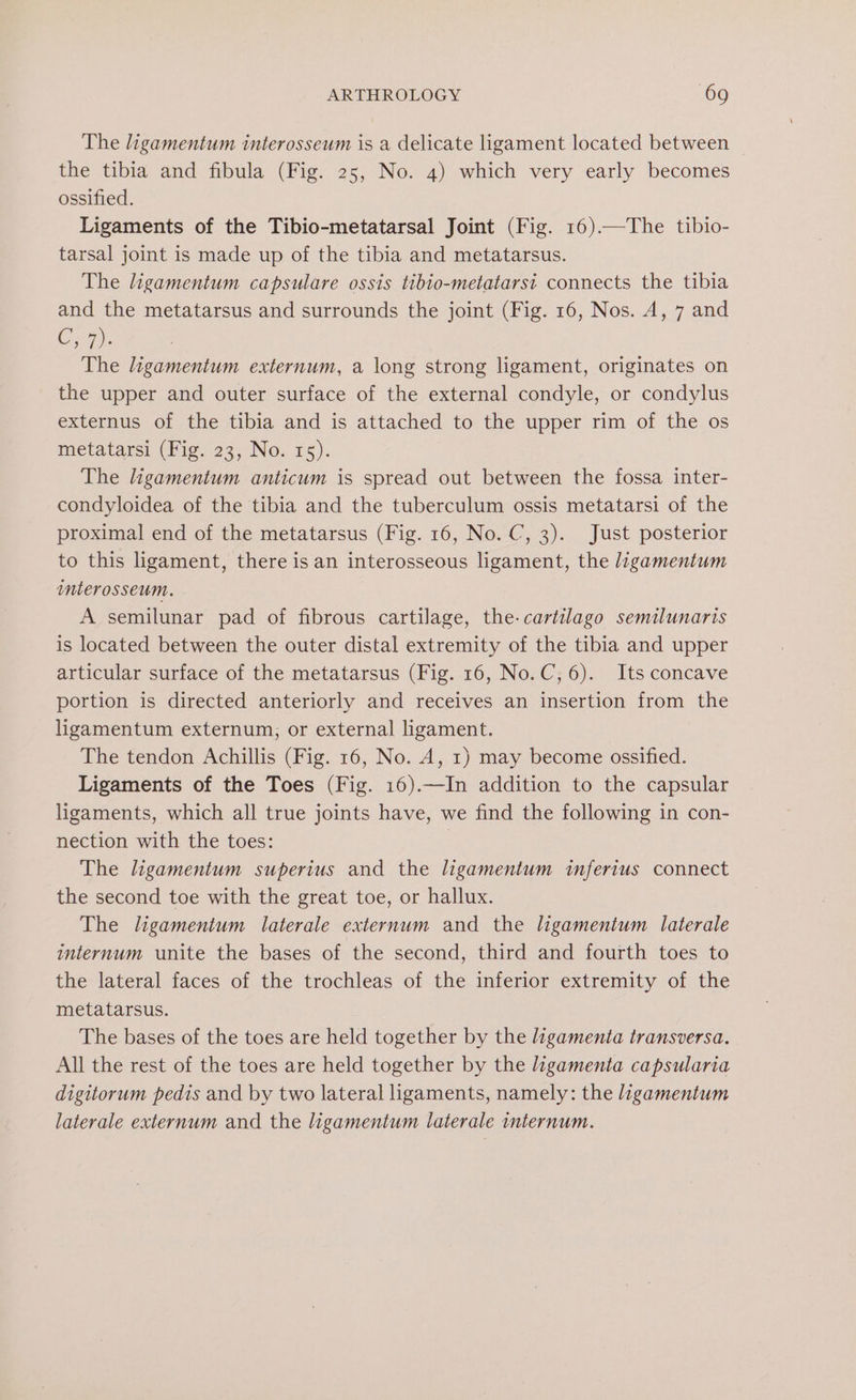 The ligamentum interosseum is a delicate ligament located between the tibia and fibula (Fig. 25, No. 4) which very early becomes ossified. Ligaments of the Tibio-metatarsal Joint (Fig. 16).—The tibio- tarsal joint is made up of the tibia and metatarsus. The ligamentum capsulare ossis tibio-metatarsi connects the tibia and the metatarsus and surrounds the joint (Fig. 16, Nos. A, 7 and ORs The ligamentum externum, a long strong ligament, originates on the upper and outer surface of the external condyle, or condylus externus of the tibia and is attached to the upper rim of the os metatarsi (Fig. 23, No. 15). The ligamentum anticum is spread out between the fossa inter- condyloidea of the tibia and the tuberculum ossis metatarsi of the proximal end of the metatarsus (Fig. 16, No. C, 3). Just posterior to this ligament, there is an interosseous ligament, the ligamentum interosseum. A semilunar pad of fibrous cartilage, the-cartilago semilunaris is located between the outer distal extremity of the tibia and upper articular surface of the metatarsus (Fig. 16, No.C, 6). Its concave portion is directed anteriorly and receives an insertion from the ligamentum externum, or external ligament. The tendon Achillis (Fig. 16, No. A, 1) may become ossified. Ligaments of the Toes (Fig. 16).—In addition to the capsular ligaments, which all true joints have, we find the following in con- nection with the toes: | The ligamentum superius and the ligamentum inferius connect the second toe with the great toe, or hallux. The ligamentum laterale externum and the ligamentum laterale internum unite the bases of the second, third and fourth toes to the lateral faces of the trochleas of the inferior extremity of the metatarsus. The bases of the toes are held together by the ligamenta transversa. All the rest of the toes are held together by the ligamenta capsularia digitorum pedis and by two lateral ligaments, namely: the ligamentum laterale externum and the ligamentum laierale internum.