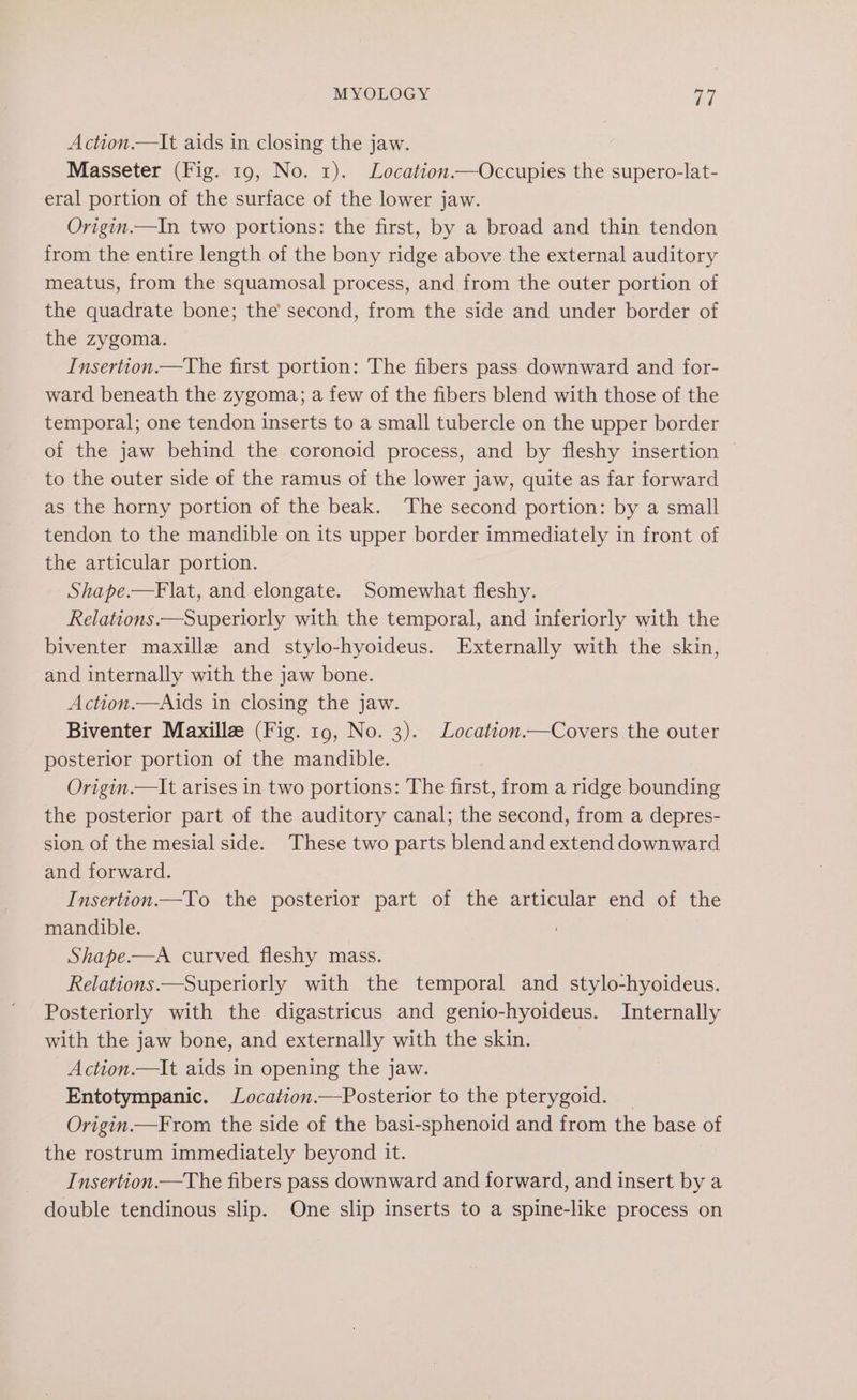 Action.—It aids in closing the jaw. Masseter (Fig. 19, No. 1). Location—Occupies the supero-lat- eral portion of the surface of the lower jaw. Origin.—In two portions: the first, by a broad and thin tendon from the entire length of the bony ridge above the external auditory meatus, from the squamosal process, and from the outer portion of the quadrate bone; the second, from the side and under border of the zygoma. Insertion.—The first portion: The fibers pass downward and for- ward beneath the zygoma; a few of the fibers blend with those of the temporal; one tendon inserts to a small tubercle on the upper border of the jaw behind the coronoid process, and by fleshy insertion to the outer side of the ramus of the lower jaw, quite as far forward as the horny portion of the beak. The second portion: by a small tendon to the mandible on its upper border immediately in front of the articular portion. Shape.—Flat, and elongate. Somewhat fleshy. Relations.—Superiorly with the temporal, and inferiorly with the biventer maxille and stylo-hyoideus. Externally with the skin, and internally with the jaw bone. Action.—Aids in closing the jaw. Biventer Maxillz (Fig. 19, No. 3). Location.—Covers the outer posterior portion of the mandible. Origin.—It arises in two portions: The first, from a ridge bounding the posterior part of the auditory canal; the second, from a depres- sion of the mesial side. These two parts blend and extend downward and forward. Insertion—To the posterior part of the articular end of the mandible. Shape.—A curved fleshy mass. Relations.—Superiorly with the temporal and stylo-hyoideus. Posteriorly with the digastricus and genio-hyoideus. Internally with the jaw bone, and externally with the skin. Action.—It aids in opening the jaw. Entotympanic. Location.—Posterior to the pterygoid. _ Origin.—From the side of the basi-sphenoid and from the base of the rostrum immediately beyond it. Insertion.—The fibers pass downward and forward, and insert by a double tendinous slip. One slip inserts to a spine-like process on