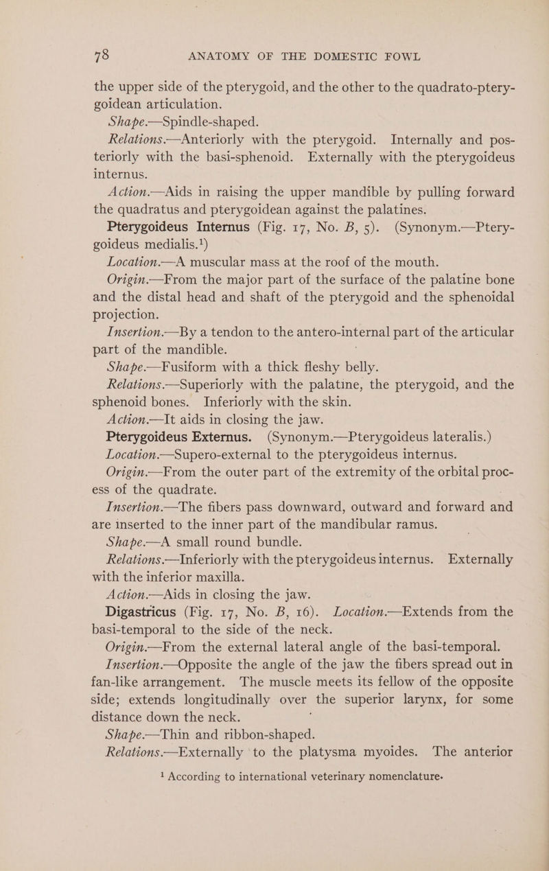 the upper side of the pterygoid, and the other to the quadrato-ptery- goldean articulation. Shape.—Spindle-shaped. Relations.—Anteriorly with the pterygoid. Internally and pos- teriorly with the basi-sphenoid. Externally with the pterygoideus internus. Action.—Aids in raising the upper mandible by pulling forward the quadratus and pterygoidean against the palatines. Pterygoideus Internus (Fig. 17, No. B, 5). (Synonym.—Ptery- goideus medialis.*) Location.—A muscular mass at the roof of the mouth. Origin.—From the major part of the surface of the palatine bone and the distal head and shaft of the pterygoid and the sphenoidal projection. Insertton.—By a tendon to the antero- iene) part of the articular part of the mandible. Shape.—Fusiform with a thick fleshy belly. Relations —Superiorly with the palatine, the pterygoid, and the sphenoid bones. Inferiorly with the skin. Action.—It aids in closing the jaw. Pterygoideus Externus. (Synonym.—Pterygoideus lateralis.) Location.—Supero-external to the pterygoideus internus. Origin.—From the outer part of the extremity of the orbital proc- ess of the quadrate. Insertion.—The fibers pass downward, outward and forward ia are inserted to the inner part of the mandibular ramus. Shape.—A. small round bundle. Relations.—Inferiorly with the pterygoideusinternus. Externally with the inferior maxilla. Action.—Aids in closing the jaw. Digastricus (Fig. 17, No. B, 16). Location—Extends from the basi-temporal to the side of the neck. Origin.—From the external lateral angle of the basi-temporal. Insertion.—Opposite the angle of the jaw the fibers spread out in fan-like arrangement. The muscle meets its fellow of the opposite side; extends longitudinally over (gs superior larynx, for some aistanee down the neck. Shape.—Thin and ribbon-shaped. Relations —Externally ‘to the platysma myoides. The anterior 1 According to international veterinary nomenclature.