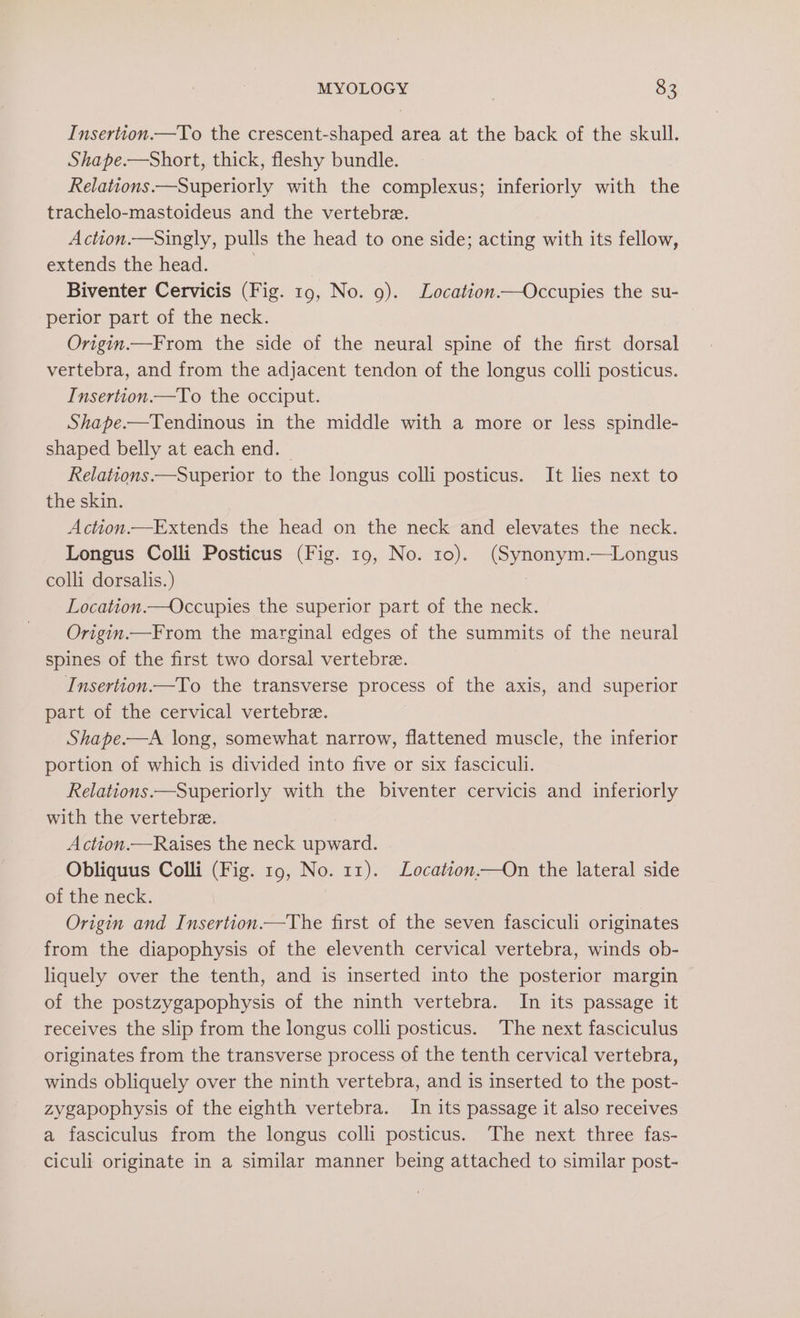 Insertton.—To the crescent-shaped area at the back of the skull. Shape.—Short, thick, fleshy bundle. Relations.—Superiorly with the complexus; inferiorly with the trachelo-mastoideus and the vertebre. Action.—Singly, pulls the head to one side; acting with its fellow, extends the head. Biventer Cervicis (Fig. 19, No. 9). Location—Occupies the su- perior part of the neck. Origin.—From the side of the neural spine of the first dorsal vertebra, and from the adjacent tendon of the longus colli posticus. Insertion.—To the occiput. Shape.—Tendinous in the middle with a more or less spindle- shaped belly at each end. | Relations.—Superior to the longus colli posticus. It lies next to the skin. Action.—Extends the head on the neck and elevates the neck. Longus Colli Posticus (Fig. 19, No. 10). (Synonym.—Longus colli dorsalis.) | Location.—Occupies the superior part of the neck. Origin.—From the marginal edges of the summits of the neural spines of the first two dorsal vertebre. Insertion.—To the transverse process of the axis, and superior part of the cervical vertebre. Shape.—A long, somewhat narrow, flattened muscle, the inferior portion of which is divided into five or six fasciculi. Relations.—Superiorly with the biventer cervicis and inferiorly with the vertebre. Action.—Raises the neck upward. Obliquus Colli (Fig. 19, No. 11). Location.—On the lateral side of the neck. Origin and Insertion.—The first of the seven fasciculi originates from the diapophysis of the eleventh cervical vertebra, winds ob- liquely over the tenth, and is inserted into the posterior margin of the postzygapophysis of the ninth vertebra. In its passage it receives the slip from the longus colli posticus. The next fasciculus originates from the transverse process of the tenth cervical vertebra, winds obliquely over the ninth vertebra, and is inserted to the post- zygapophysis of the eighth vertebra. In its passage it also receives a fasciculus from the longus colli posticus. The next three fas- ciculi originate in a similar manner being attached to similar post-