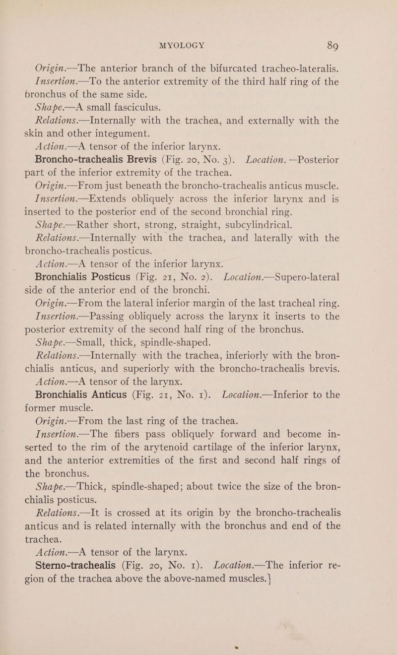 Origin.—The anterior branch of the bifurcated tracheo-lateralis. Insertion.—To the anterior extremity of the third half ring of the bronchus of the same side. Shape.—A small fasciculus. Relations.—Internally with the trachea, and externally ae the skin and other integument. Action.—A tensor of the inferior larynx. Broncho-trachealis Brevis (Fig. 20, No. 3). Location. —Posterior part of the inferior extremity of the trachea. Origin.—From just beneath the broncho-trachealis anticus muscle. Insertion.—Extends obliquely across the inferior larynx and is inserted to the posterior end of the second bronchial ring. _ Shape.—Rather short, strong, straight, subcylindrical. Relations.—Internally with the trachea, and laterally with the broncho-trachealis posticus. Action.—A tensor of the inferior larynx. Bronchialis Posticus (Fig. 21, No. 2). Location.—Supero-lateral side of the anterior end of the bronchi. ; Origin.—From the lateral inferior margin of the last tracheal ring. Insertion.—Passing obliquely across the larynx it inserts to the posterior extremity of the second half ring of the bronchus. Shape.—Small, thick, spindle-shaped. Relations.—Internally with the trachea, inferiorly with the bron- chialis anticus, and superiorly with the broncho-trachealis brevis. Action.—A tensor of the larynx. Bronchialis Anticus (Fig. 21, No. 1): Location.—Inferior to the former muscle. Origin.—From the last ring of the trachea. Insertion—The fibers pass obliquely forward and become in- serted to the rim of the arytenoid cartilage of the inferior larynx, and the anterior extremities of the first and second half rings of the bronchus. Shape.—Thick, spindle-shaped; about twice the size of the bron- chialis posticus. Relations.—It is crossed at its origin by the broncho-trachealis anticus and is related internally with the bronchus and end of the trachea. Action.—A tensor of the larynx. Sterno-trachealis (Fig. 20, No. 1). Location.—The inferior re- gion of the trachea above the above-named muscles. |