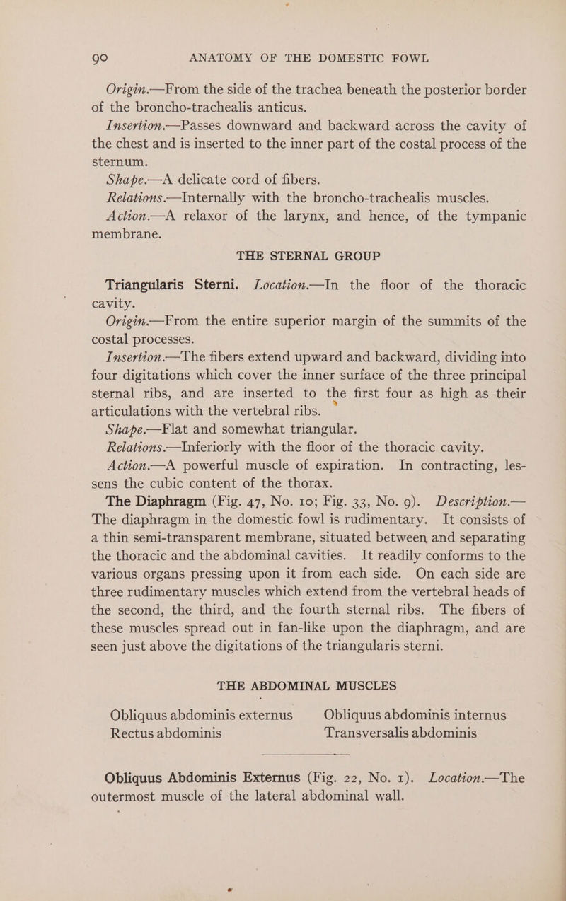 Origin.—From the side of the trachea beneath the posterior border of the broncho-trachealis anticus. Insertion.—Passes downward and backward across the cavity of the chest and is inserted to the inner part of the costal process of the sternum. Shape.—A delicate cord of fibers. Relations.—Internally with the broncho-trachealis muscles. Action.—A relaxor of the larynx, and hence, of the tympanic membrane. THE STERNAL GROUP Triangularis Sterni. Location—In the floor of the thoracic cavity. Origin.—From the entire superior margin of the summits of the costal processes. Insertion.—The fibers extend upward and backward, dividing into four digitations which cover the inner surface of the three principal sternal ribs, and are inserted to the first four as high as their articulations with the vertebral ribs. Shape.—F lat and somewhat triangular. Relations.—Inferiorly with the floor of the thoracic cavity. Action.—A powerful muscle of expiration. In contracting, les- sens the cubic content of the thorax. The Diaphragm (Fig. 47, No. 10; Fig. 33, No. 9). Description.— The diaphragm in the domestic fowl is rudimentary. It consists of a thin semi-transparent membrane, situated between and separating the thoracic and the abdominal cavities. It readily conforms to the various organs pressing upon it from each side. On each side are three rudimentary muscles which extend from the vertebral heads of the second, the third, and the fourth sternal ribs. The fibers of these muscles spread out in fan-like upon the diaphragm, and are seen just above the digitations of the triangularis sterni. THE ABDOMINAL MUSCLES Obliquus abdominis externus Obliquus abdominis internus Rectus abdominis Transversalis abdominis Obliquus Abdominis Externus (Fig. 22, No. 1). Location—The outermost muscle of the lateral abdominal wall.