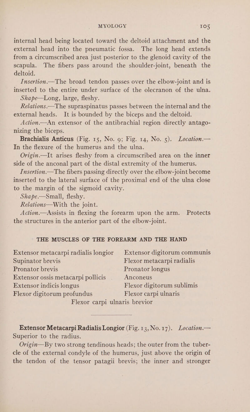 internal head being located toward the deltoid attachment and the external head into the pneumatic fossa. The long head extends from a circumscribed area just posterior to the glenoid cavity of the scapula. The fibers pass around the shoulder-joint, beneath the deltoid. Insertion.—The broad tendon passes over the elbow-joint and is inserted to the entire under surface of the olecranon of the ulna. Shape—Long, large, fleshy. Relations.—The supraspinatus passes between the internal and the external heads. It is bounded by the biceps and the deltoid. Action.—An extensor of the antibrachial region directly antago- nizing the biceps. Brachialis Anticus (Fig. 15, No. 9; Fig. 14, No..5). Location.— In the flexure of the humerus and the ulna. Origin.—It arises fleshy from a circumscribed area on the inner side of the anconal part of the distal extremity of the humerus. Insertion.—The fibers passing directly over the elbow-joint become inserted to the lateral surface of the proximal end of the ulna close to the margin of the sigmoid cavity. | Shape.—Small, fleshy. Relations—With the joint. Action.—Assists in flexing the forearm upon the arm. Protects the structures in the anterior part of the elbow-joint. THE MUSCLES OF THE FOREARM AND THE HAND Extensor metacarpi radialis longior Extensor digitorum communis Supinator brevis Flexor metacarpi radialis Pronator brevis Pronator longus Extensor ossis metacarpi pollicis Anconeus Extensor indicis longus Flexor digitorum sublimis Flexor digitorum profundus Flexor carpi ulnaris Flexor carpi ulnaris brevior Extensor Metacarpi Radialis Longior (Fig.13,No.17). Location.— Superior to the radius. Origin—By two strong tendinous heads; the outer from the tuber- cle of the external condyle of the humerus, just above the origin of the tendon of the tensor patagii brevis; the inner and stronger