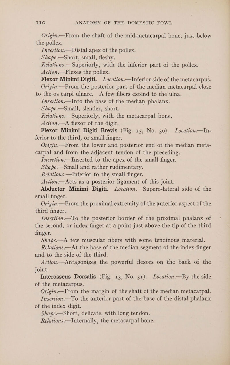 Origin.—From the shaft of the mid-metacarpal bone, just below the pollex. Insertion.—Distal apex of the pollex. Shape.—Short, small, fleshy. Relations.—Superiorly, with the inferior part of the pollex. Action.—Flexes the pollex. Flexor Minimi Digiti. Location.—Inferior side of the metacarpus. Origin.—From the posterior part of the median metacarpal close to the os carpi ulnare. A few fibers extend to the ulna. Insertion.—Into the base of the median phalanx. Shape.—Small, slender, short. Relations.—Superiorly, with the metacarpal bone. Action.—A flexor of the digit. Flexor Minimi Digiti Brevis (Fig. 13, No. 30). Location.—In- ferior to the third, or small finger. Origin.—From the lower and posterior end of the median meta- carpal and from the adjacent tendon of the preceding. Insertion.—Inserted to the apex of the small finger. Shape.—Small and rather rudimentary. Relations.—Inferior to the small finger. Action.—Acts as a posterior ligament of this joint. | Abductor Minimi Digiti. Location.—Supero-lateral side of the small finger. Origin.—From the proximal extremity of the anterior aspect of the third finger. Insertion—To the posterior border of the proximal phalanx of the second, or index-finger at a point just above the tip of the third finger. Shape.—A few muscular fibers with some tendinous material. Relations.—At the base of the median segment of the index-finger and to the side of the third. Action.—Antagonizes the powerful flexors on the back of the joint. ' Interosseus Dorsalis (Fig. 13, No. 31). Location.—By the side of the metacarpus. Origin.—From the margin of the shaft of the median metacarpal. Insertion.—To the anterior part of the base of the distal phalanx of the index digit. Shape.—Short, delicate, with long tendon. Relations.—Internally, the metacarpal bone.