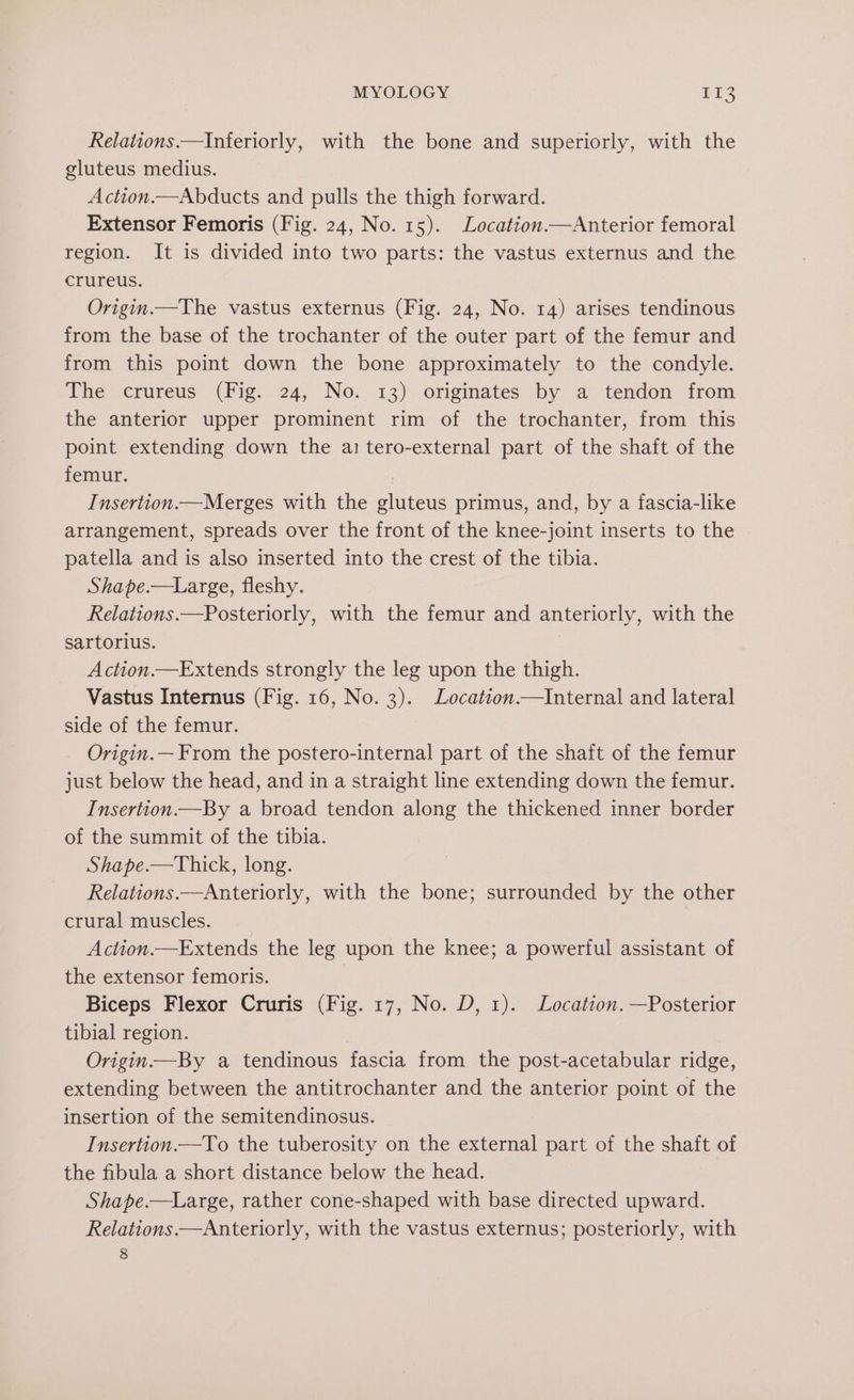 Relations.—Inferiorly, with the bone and superiorly, with the gluteus medius. Action.—Abducts and pulls the thigh forward. Extensor Femoris (Fig. 24, No. 15). Location.—Anterior femoral region. It is divided into two parts: the vastus externus and the crureus. Origin.—The vastus externus (Fig. 24, No. 14) arises tendinous from the base of the trochanter of the outer part of the femur and from this point down the bone approximately to the condyle. The crureus (Fig. 24, No. 13) originates by a tendon from the anterior upper prominent rim of the trochanter, from this point extending down the a: tero-external part of the shaft of the femur. Insertion.—Merges with the gluteus primus, and, by a fascia-like arrangement, spreads over the front of the knee-joint inserts to the patella and is also inserted into the crest of the tibia. Shape.—tLarge, fleshy. Relations.—Posteriorly, with the femur and anteriorly, with the sartorius. | Action.—Extends strongly the leg upon the thigh. Vastus Internus (Fig. 16, No. 3). Location.—Internal and lateral side of the femur. Origin.— From the postero-internal part of the shaft of the femur just below the head, and in a straight line extending down the femur. Insertion—By a broad tendon along the thickened inner border of the summit of the tibia. Shape.—Thick, long. Relations —Anteriorly, with the bone; surrounded by the other crural muscles. Action.—Extends the leg upon the knee; a powerful assistant of the extensor femoris. Biceps Flexor Cruris (Fig. 17, No. D, 1). Location. —Posterior tibial region. Origin.—By a tendinous fascia from the post-acetabular ridge, extending between the antitrochanter and the anterior point of the insertion of the semitendinosus. Insertion.—To the tuberosity on the external part of the shaft of the fibula a short distance below the head. Shape.—Large, rather cone-shaped with base directed upward. Relations.—Anteriorly, with the vastus externus; posteriorly, with 8