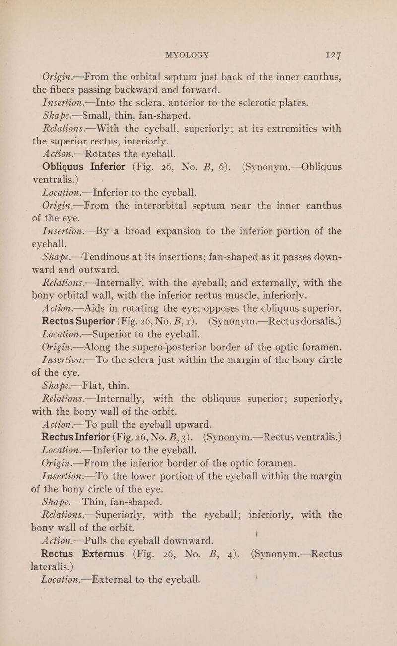 Origin.—From the orbital septum just back of the inner canthus, the fibers passing backward and forward. Insertion.—Into the sclera, anterior to the sclerotic plates. Shape.—Small, thin, fan-shaped. Relations—With the eyeball, superiorly; at its extremities with the superior rectus, interiorly. Action.—Rotates the eyeball. Obliquus Inferior (Fig. 26, No. B, 6). (Synonym.—Obliquus ventralis.) Location.—Inferior to the eyeball. Origin.—From the interorbital septum near the inner canthus of the eye. Insertion.—By a broad expansion to the inferior portion of the eyeball. Shape.—Tendinous at its insertions; fan-shaped.as it passes down- ward and outward. Relations.—Internally, with the eyeball; and externally, with the bony orbital wall, with the inferior rectus muscle, inferiorly. Action.—Aids in rotating the eye; opposes the obliquus superior. Rectus Superior (Fig. 26, No. B,1). (Synonym.—Rectus dorsalis.) Location.—Superior to the eyeball. Origin.—Along the supero-posterior border of the optic foramen. Insertion.—To the sclera just within the margin of the bony circle of the eye. Shape.—F lat, thin. Relations.—Internally, with the obliquus superior; superiorly, with the bony wall of the orbit. Action.—To pull the eyeball upward. Rectus Inferior (Fig. 26, No. B,3). (Synonym.—Rectus ventralis.) Location.—Inferior to the eyeball. Origin.—From the inferior border of the optic foramen. Insertion.—To the lower portion of the eyeball within the margin of the bony circle of the eye. Shape.—Thin, fan-shaped. Relations.—Superiorly, with the eyeball; inferiorly, with the bony wall of the orbit. Action.—Pulls the eyeball downward. Rectus Externus (Fig. 26, No. B, 4). (Synonym.—Rectus lateralis. ) I