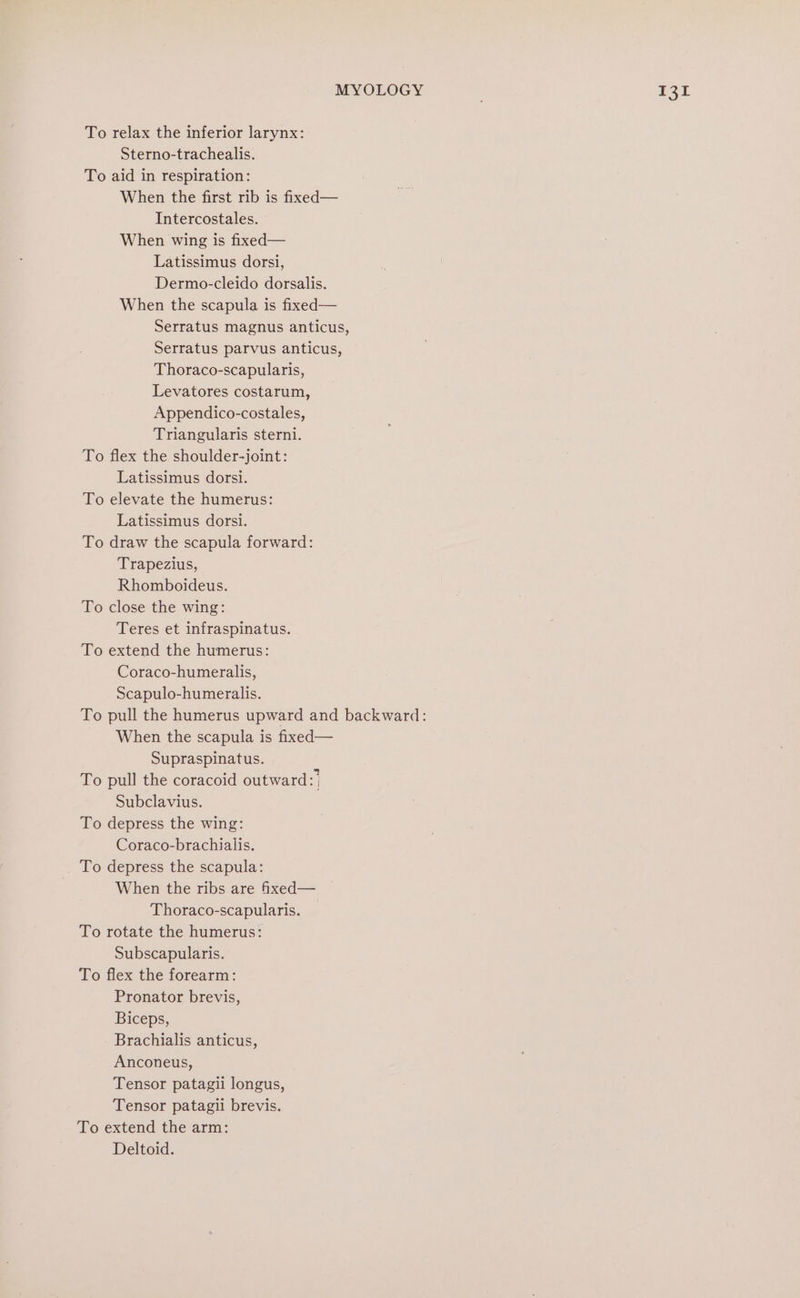 To relax the inferior larynx: To aid in respiration: When the first rib is fixed— Intercostales. When wing is fixed— Latissimus dorsi, When the scapula is fixed— Serratus magnus anticus, Serratus parvus anticus, Thoraco-scapularis, Levatores costarum, Appendico-costales, Triangularis sterni. To flex the shoulder-joint: Latissimus dorsi. To elevate the humerus: Latissimus dorsi. To draw the scapula forward: Trapezius, Rhomboideus. To close the wing: Teres et infraspinatus. To extend the humerus: Coraco-humeralis, Scapulo-humeralis. When the scapula is fixed— Supraspinatus. To pull the coracoid outward:) Subclavius. To depress the wing: Coraco-brachialis. To depress the scapula: When the ribs are ixed— Thoraco-scapularis. To rotate the humerus: Subscapularis. To flex the forearm: Pronator brevis, Biceps, Brachialis anticus, Anconeus, Tensor patagii longus, Tensor patagii brevis. To extend the arm: Deltoid.