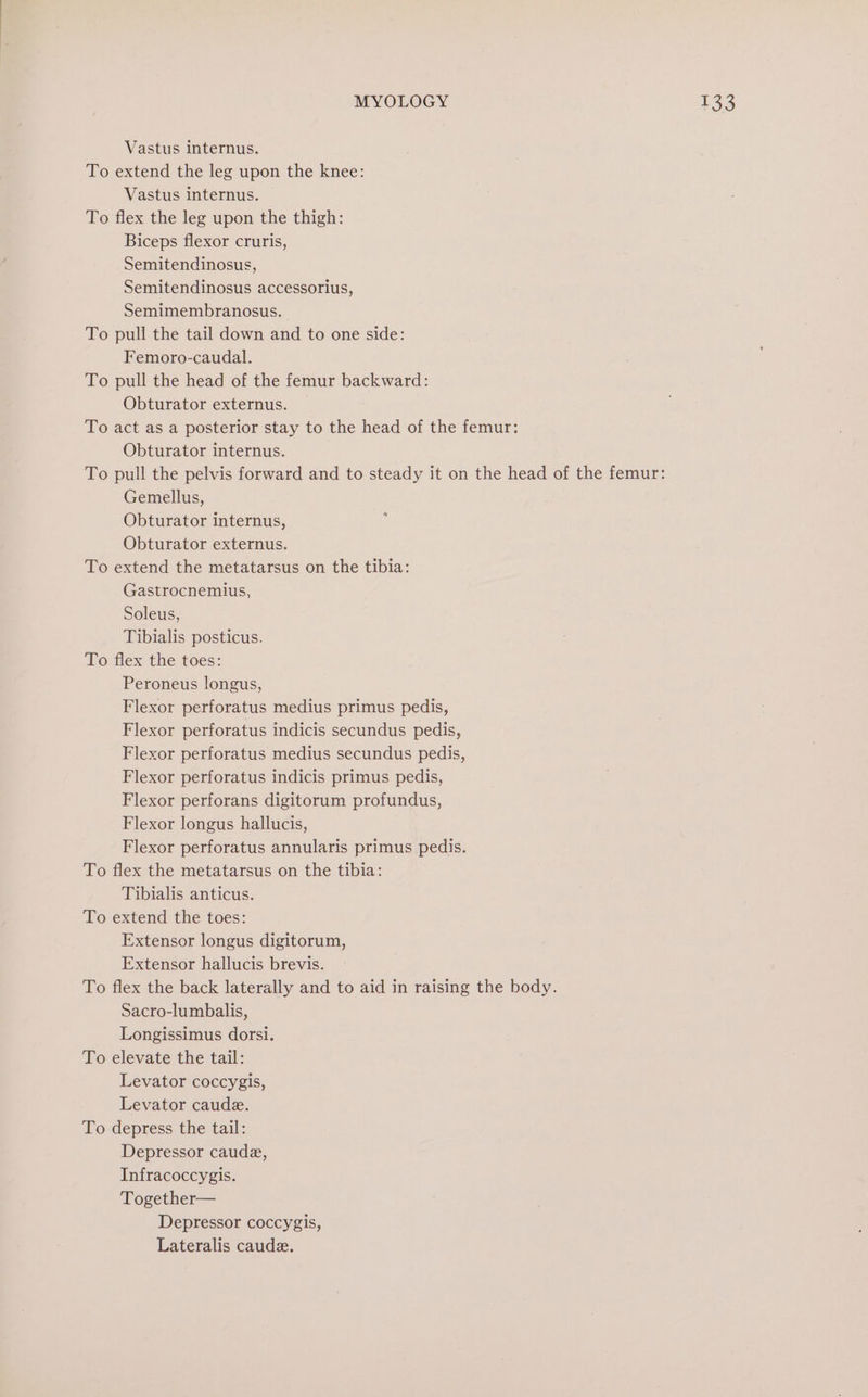Vastus internus. To extend the leg upon the knee: Vastus internus. To flex the leg upon the thigh: Biceps flexor cruris, Semitendinosus, Semitendinosus accessorius, Semimembranosus. To pull the tail down and to one side: Femoro-caudal. To pull the head of the femur backward: Obturator externus. To act as a posterior stay to the head of the femur: Obturator internus. To pull the pelvis forward and to steady it on the head of the femur: Gemellus, Obturator internus, Obturator externus. To extend the metatarsus on the tibia: Gastrocnemius, Soleus, Tibialis posticus. To flex the toes: Peroneus longus, Flexor perforatus medius primus pedis, Flexor perforatus indicis secundus pedis, Flexor perforatus medius secundus pedis, Flexor perforatus indicis primus pedis, Flexor perforans digitorum profundus, Flexor longus hallucis, Flexor perforatus annularis primus pedis. To flex the metatarsus on the tibia: Tibialis anticus. To extend the toes: Extensor longus digitorum, Extensor hallucis brevis. To flex the back laterally and to aid in raising the body. Sacro-lumbalis, Longissimus dorsi. To elevate the tail: Levator coccygis, Levator caude. To depress the tail: Depressor caude, Infracoccygis. Together— Depressor coccygis, Lateralis caude.