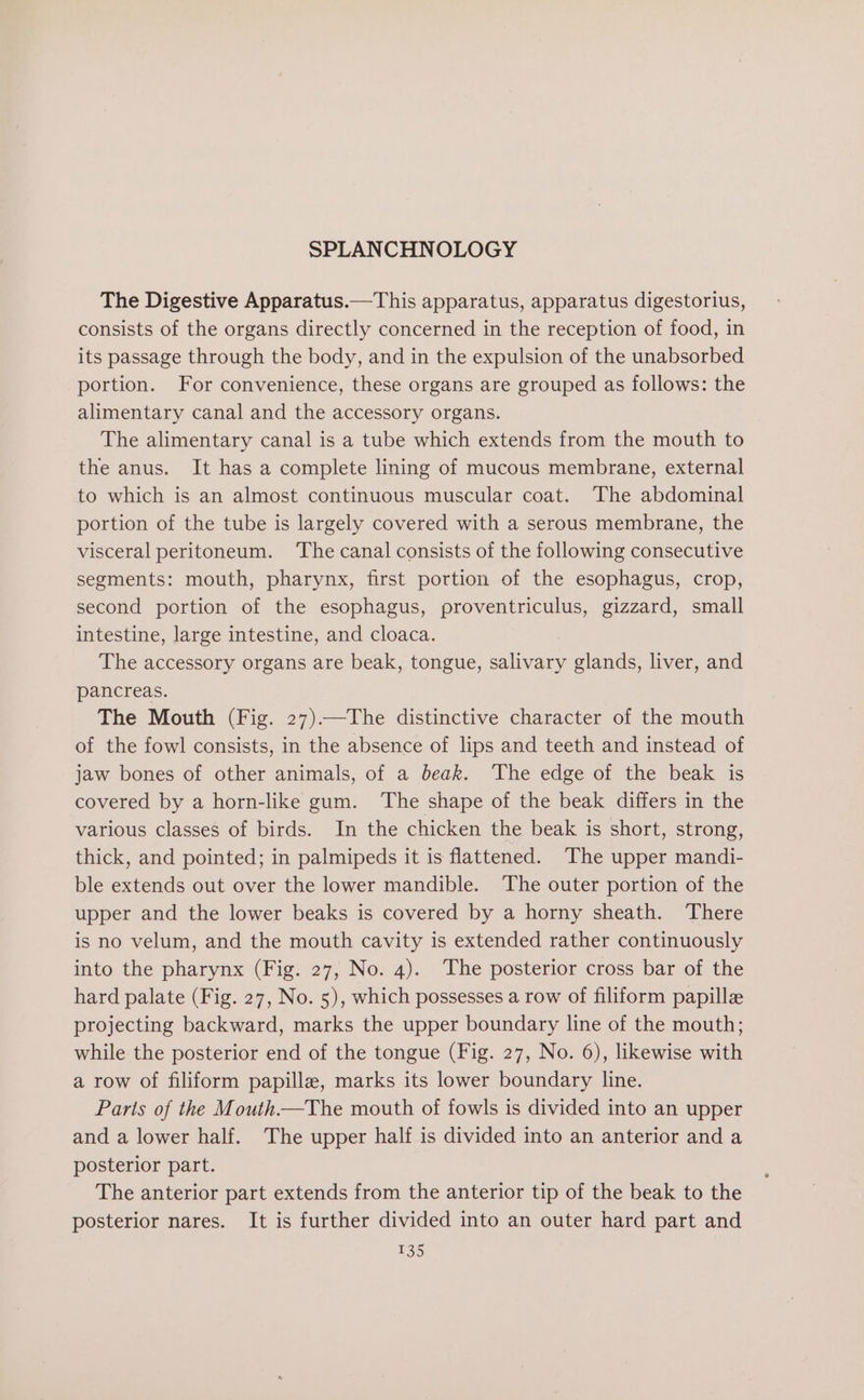 SPLANCHNOLOGY The Digestive Apparatus.—This apparatus, apparatus digestorius, consists of the organs directly concerned in the reception of food, in its passage through the body, and in the expulsion of the unabsorbed portion. For convenience, these organs are grouped as follows: the alimentary canal and the accessory organs. The alimentary canal is a tube which extends from the mouth to the anus. It has a complete lining of mucous membrane, external to which is an almost continuous muscular coat. The abdominal portion of the tube is largely covered with a serous membrane, the visceral peritoneum. ‘The canal consists of the following consecutive segments: mouth, pharynx, first portion of the esophagus, crop, second portion of the esophagus, proventriculus, gizzard, small intestine, large intestine, and cloaca. The accessory organs are beak, tongue, ae glands, liver, and pancreas. The Mouth (Fig. 27).—The distinctive character of the mouth of the fowl consists, in the absence of lips and teeth and instead of jaw bones of other animals, of a beak. The edge of the beak is covered by a horn-like gum. The shape of the beak differs in the various classes of birds. In the chicken the beak is short, strong, thick, and pointed; in palmipeds it is flattened. The upper mandi- ble extends out over the lower mandible. The outer portion of the upper and the lower beaks is covered by a horny sheath. There is no velum, and the mouth cavity is extended rather continuously into the pharynx (Fig. 27, No. 4). The posterior cross bar of the hard palate (Fig. 27, No. 5), which possesses a row of filiform papille projecting backward, marks the upper boundary line of the mouth; while the posterior end of the tongue (Fig. 27, No. 6), likewise with a row of filiform papilla, marks its lower boundary line. Paris of the Mouth—The mouth of fowls is divided into an upper and a lower half. The upper half is divided into an anterior and a posterior part. The anterior part extends from the anterior tip of the beak to the posterior nares. It is further divided into an outer hard part and