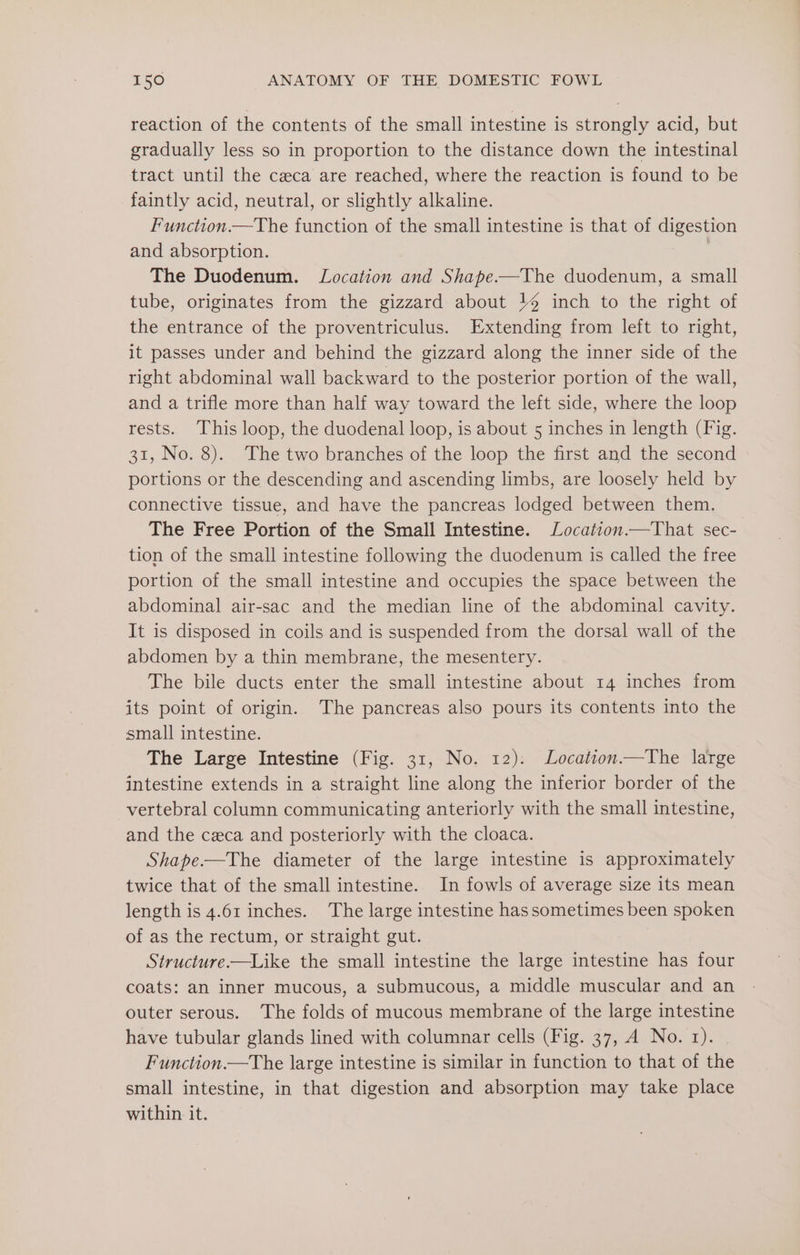 reaction of the contents of the small intestine is strongly acid, but gradually less so in proportion to the distance down the intestinal tract until the caca are reached, where the reaction is found to be faintly acid, neutral, or slightly alkaline. Function.—The function of the small intestine is that of eee gos and absorption. The Duodenum. Location and Shape.—The duodenum, a small tube, originates from the gizzard about 14% inch to the right of the entrance of the proventriculus. Extending from left to right, it passes under and behind the gizzard along the inner side of the right abdominal wall backward to the posterior portion of the wall, and a trifle more than half way toward the left side, where the loop rests. This loop, the duodenal loop, is about 5 inches in length (Fig. 31, No. 8). The two branches of the loop the first and the second portions or the descending and ascending limbs, are loosely held by connective tissue, and have the pancreas lodged between them. The Free Portion of the Small Intestine. Location.—That sec- tion of the small intestine following the duodenum is called the free portion of the small intestine and occupies the space between the abdominal air-sac and the median line of the abdominal cavity. It is disposed in coils and is suspended from the dorsal wall of the abdomen by a thin membrane, the mesentery. The bile ducts enter the small intestine about 14 inches from its point of origin. The pancreas also pours its contents into the small intestine. The Large Intestine (Fig. 31, No. 12). Location—The large intestine extends in a straight line along the inferior border of the vertebral column communicating anteriorly with the small intestine, and the ceca and posteriorly with the cloaca. Shape.—The diameter of the large intestine is approximately twice that of the small intestine. In fowls of average size its mean length is 4.61 inches. The large intestine has sometimes been spoken of as the rectum, or straight gut. Structure.—Like the small intestine the large intestine has four coats: an inner mucous, a submucous, a middle muscular and an outer serous. The folds of mucous membrane of the large intestine have tubular glands lined with columnar cells (Fig. 37, A No. 1). Function.—The large intestine is similar in function to that of the small intestine, in that digestion and absorption may take place within it.
