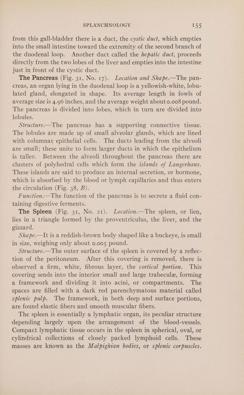 from this gall-bladder there is a duct, the cystic duct, which empties into the small intestine toward the extremity of the second branch of the duodenal loop. Another duct called the hepatic duct, proceeds directly from the two lobes of the liver and empties into the intestine just in front of the cystic duct. The Pancreas (Fig. 31, No. 17). Location and Shape.—The pan- creas, an organ lying in the duodenal loop is a yellowish-white, lobu- lated gland, elongated in shape. Its average length in fowls of average size is 4.96 inches, and the average weight about 0.008 pound. The pancreas is divided into lobes, which in turn are divided into lobules. Structure—The pancreas has a supporting connective tissue. The lobules are made up of small alveolar glands, which are lined with columnar epithelial cells. The ducts leading from the alveoli are small; these unite to form larger ducts in which the epithelium is taller. Between the alveoli throughout the pancreas there are clusters of polyhedral cells which form the zslands of Langerhans. These islands are said to produce an internal secretion, or hormone, which is absorbed by the blood or lymph capillaries and thus enters the circulation (Fig. 38, B). Function.—The function of the pancreas is to secrete a fluid con- taining digestive ferments. The Spleen (Fig. 31, No. 21). JLocation.—The spleen, or lien, lies in a triangle formed by the proventriculus, the liver, and the gizzard. Shape.—lIt is a reddish-brown body shaped like a buckeye, is small in size, weighing only about 0.005 pound. Structure.—The outer surface of the spleen is covered by a reflec- tion of the peritoneum. After this covering is removed, there is observed a firm, white, fibrous layer, the cortical portion. This covering sends into the interior small and large trabecule, forming a framework and dividing it into acini, or compartments. The spaces are filled with a dark red parenchymatous material called splenic pulp. The framework, in both deep and surface portions, are found elastic fibers and smooth muscular fibers. The spleen is essentially a lymphatic organ, its peculiar structure depending largely upon the arrangement of the blood-vessels. Compact lymphatic tissue occurs in the spleen in spherical, oval, or cylindrical collections of closely packed lymphoid cells. These masses are known as the Malpighian bodies, or splenic corpuscles.