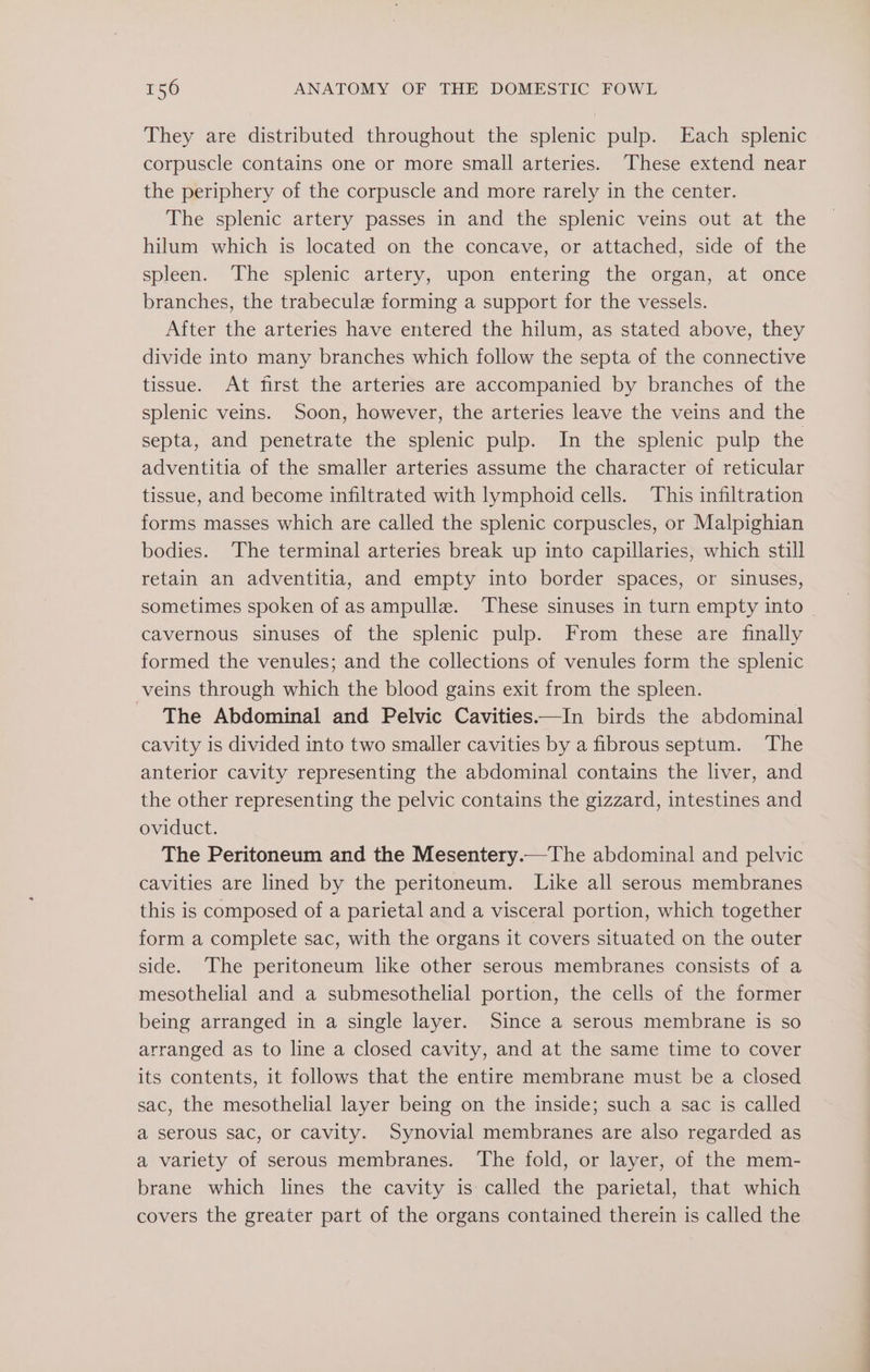They are distributed throughout the splenic pulp. Each splenic corpuscle contains one or more small arteries. These extend near the periphery of the corpuscle and more rarely in the center. The splenic artery passes in and the splenic veins out at the hilum which is located on the concave, or attached, side of the spleen. The splenic artery, upon entering the organ, at once branches, the trabecule forming a support for the vessels. After the arteries have entered the hilum, as stated above, they divide into many branches which follow the septa of the connective tissue. At first the arteries are accompanied by branches of the splenic veins. Soon, however, the arteries leave the veins and the septa, and penetrate the splenic pulp. In the splenic pulp the adventitia of the smaller arteries assume the character of reticular tissue, and become infiltrated with lymphoid cells. This infiltration forms masses which are called the splenic corpuscles, or Malpighian bodies. ‘The terminal arteries break up into capillaries, which still retain an adventitia, and empty into border spaces, or sinuses, sometimes spoken of as ampullz. These sinuses in turn empty into - cavernous sinuses of the splenic pulp. From these are finally formed the venules; and the collections of venules form the splenic veins through which the blood gains exit from the spleen. _ The Abdominal and Pelvic Cavities—In birds the abdominal cavity is divided into two smaller cavities by a fibrous septum. The anterior cavity representing the abdominal contains the liver, and the other representing the pelvic contains the gizzard, intestines and oviduct. The Peritoneum and the Mesentery.—The abdominal and pelvic cavities are lined by the peritoneum. Like all serous membranes this is composed of a parietal and a visceral portion, which together form a complete sac, with the organs it covers situated on the outer side. The peritoneum like other serous membranes consists of a mesothelial and a submesothelial portion, the cells of the former being arranged in a single layer. Since a serous membrane is so arranged as to line a closed cavity, and at the same time to cover its contents, it follows that the entire membrane must be a closed sac, the mesothelial layer being on the inside; such a sac is called a serous sac, or cavity. Synovial membranes are also regarded as a variety of serous membranes. The fold, or layer, of the mem- brane which lines the cavity is called the parietal, that which covers the greater part of the organs contained therein is called the