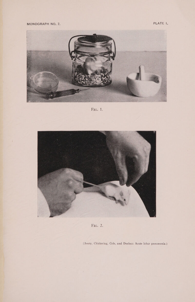 FiGe2- (Avery, Chickering, Cole, and Dochez: Acute lobar pneumonia.)