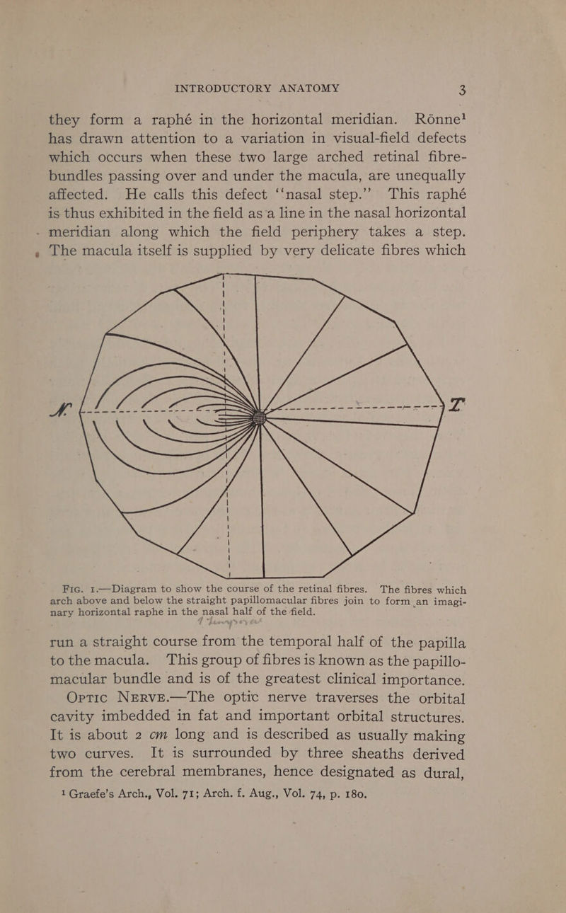 they form a raphé in the horizontal meridian. Rd6onne! has drawn attention to a variation in visual-field defects which occurs when these two large arched retinal fibre- bundles passing over and under the macula, are unequally affected. He calls this defect ‘‘nasal step.” This raphé is thus exhibited in the field asa line in the nasal horizontal - meridian along which the field periphery takes a step. , The macula itself is supplied by very delicate fibres which run a straight course tae the temporal half of the papilla tothe macula. This group of fibres is known as the papillo- macular bundle and is of the greatest clinical importance. Optic NERvE.—The optic nerve traverses the orbital cavity imbedded in fat and important orbital structures. It is about 2 cm long and is described as usually making two curves. It is surrounded by three sheaths derived from the cerebral membranes, hence designated as dural, 1 Graefe’s Arch., Vol. 71; Arch. f. Aug., Vol. 74, p. 180.