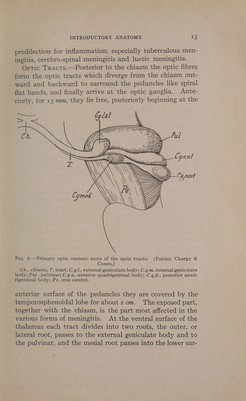 predilection for inflammation, especially tuberculous men- ingitis, cerebro-spinal meningitis and luetic meningitis. Optic Tracts.—Posterior to the chiasm the optic fibres form the optic tracts which diverge from the chiasm out- ward and backward to surround the peduncles like spiral flat bands, and finally arrive at the optic ganglia. Ante- riorly, for 15 mm, they lie free, posteriorly beginning at the oar Colat \ ig Fic. 8.—Primary optic centers: roots of the optic tracts: (Poirier, Charpy &amp; ' Cuneo.) Ch., chiasm; T, tract; C.g.l., external geniculate body; C.g.m, internal geniculate body; Pul , pulvinar; C.q.a., anterior quadrigeminal body; C.q.p., posterior quad- rigeminal body; Pe, crus cerebri. anterior surface of the peduncles they are covered by the temporosphenoidal lobe for about 2 cm. The exposed part, together with the chiasm, is the part most affected in the various forms of meningitis. At the ventral surface of the thalamus each tract divides into two roots, the outer, or lateral root, passes to the external geniculate body and to the pulvinar, and the mesial root passes into the lower sur-