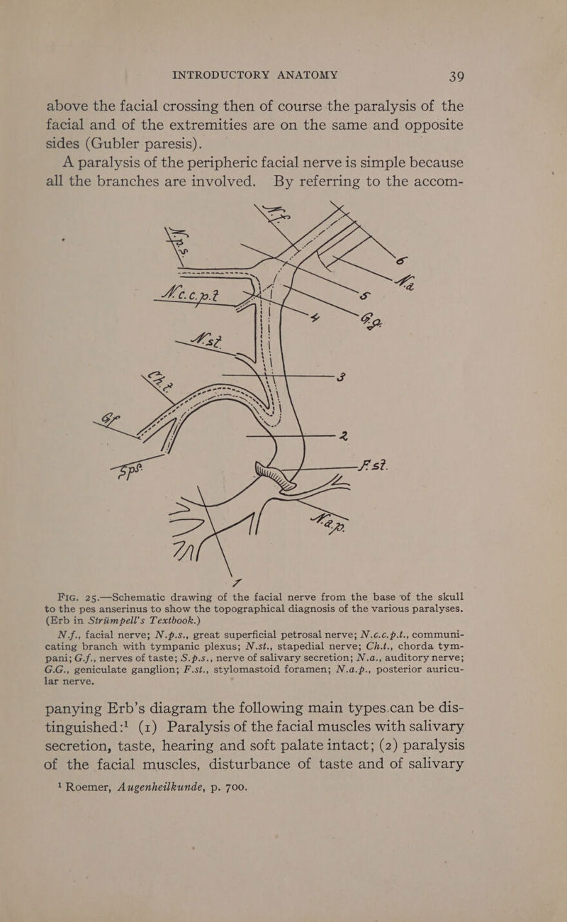 above the facial crossing then of course the paralysis of the facial and of the extremities are on the same and opposite sides (Gubler paresis). | A paralysis of the peripheric facial nerve is simple because all the branches are involved. By referring to the accom- Zo &gt; o 43 Ss Fo. F si. Fic. 25.—Schematic drawing of the facial nerve from the base of the skull to the pes anserinus to show the topographical diagnosis of the various paralyses. (Erb in Striimpell’s Textbook.) N.f., facial nerve; N.p.s., great superficial petrosal nerve; N.c.c.p.t., communi- cating branch with tympanic plexus; N.st., stapedial nerve; Ch.t., chorda tym- pani; G.f., nerves of taste; S.p.s., nerve of salivary secretion; N.a., auditory nerve; G.G., geniculate ganglion; F.st., stylomastoid foramen; N.a.p., posterior auricu- lar nerve. panying Erb’s diagram the following main types.can be dis- tinguished:! (1) Paralysis of the facial muscles with salivary secretion, taste, hearing and soft palate intact; (2) paralysis of the facial muscles, disturbance of taste and of salivary 1 Roemer, Augenheitlkunde, p. 700.