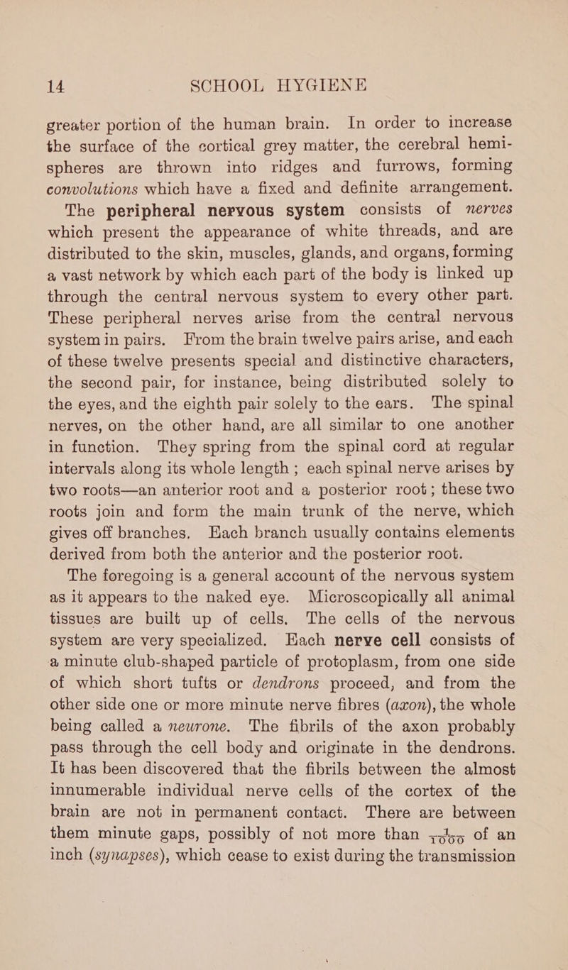 greater portion of the human brain. In order to increase the surface of the cortical grey matter, the cerebral hemi- spheres are thrown into ridges and furrows, forming convolutions which have a fixed and definite arrangement. The peripheral nervous system consists of nerves which present the appearance of white threads, and are distributed to the skin, muscles, glands, and organs, forming a vast network by which each part of the body is linked up through the central nervous system to every other part. These peripheral nerves arise from the central nervous system in pairs. From the brain twelve pairs arise, and each of these twelve presents special and distinctive characters, the second pair, for instance, being distributed solely to the eyes, and the eighth pair solely to the ears. The spinal nerves, on the other hand, are all similar to one another in function. They spring from the spinal cord at regular intervals along its whole length ; each spinal nerve arises by two roots—an anterior root and a posterior root; these two roots join and form the main trunk of the nerve, which gives off branches, Hach branch usually contains elements derived from both the anterior and the posterior root. The foregoing is a general account of the nervous system as it appears to the naked eye. Microscopically all animal tissues are built up of cells. The cells of the nervous system are very specialized. Hach nerve cell consists of a minute club-shaped particle of protoplasm, from one side of which short tufts or dendrons proceed, and from the other side one or more minute nerve fibres (axon), the whole being called a neurone. The fibrils of the axon probably pass through the cell body and originate in the dendrons. It has been discovered that the fibrils between the almost innumerable individual nerve cells of the cortex of the brain are not in permanent contact. There are between them minute gaps, possibly of not more than +545 of an inch (synapses), which cease to exist during the transmission