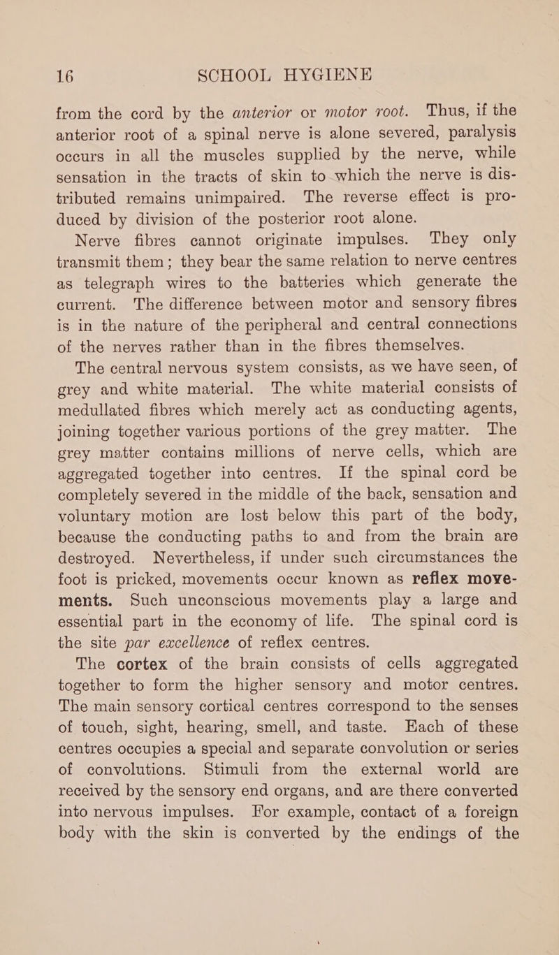 from the cord by the anterior or motor root. Thus, if the anterior root of a spinal nerve is alone severed, paralysis occurs in all the muscles supplied by the nerve, while sensation in the tracts of skin to which the nerve is dis- tributed remains unimpaired. The reverse effect is pro- duced by division of the posterior root alone. Nerve fibres cannot originate impulses. They only transmit them; they bear the same relation to nerve centres as telegraph wires to the batteries which generate the current. The difference between motor and sensory fibres is in the nature of the peripheral and central connections of the nerves rather than in the fibres themselves. The central nervous system consists, as we have seen, of grey and white material. The white material consists of medullated fibres which merely act as conducting agents, joining together various portions of the grey matter. The grey matter contains millions of nerve cells, which are aggregated together into centres. If the spinal cord be completely severed in the middle of the back, sensation and voluntary motion are lost below this part of the body, because the conducting paths to and from the brain are destroyed. Nevertheless, if under such circumstances the foot is pricked, movements occur known as reflex moye- ments. Such unconscious movements play a large and essential part in the economy of life. The spinal cord is the site par excellence of reflex centres. The cortex of the brain consists of cells aggregated together to form the higher sensory and motor centres. The main sensory cortical centres correspond to the senses of touch, sight, hearing, smell, and taste. Each of these centres occupies a special and separate convolution or series of convolutions. Stimuli from the external world are received by the sensory end organs, and are there converted into nervous impulses. For example, contact of a foreign body with the skin is converted by the endings of the